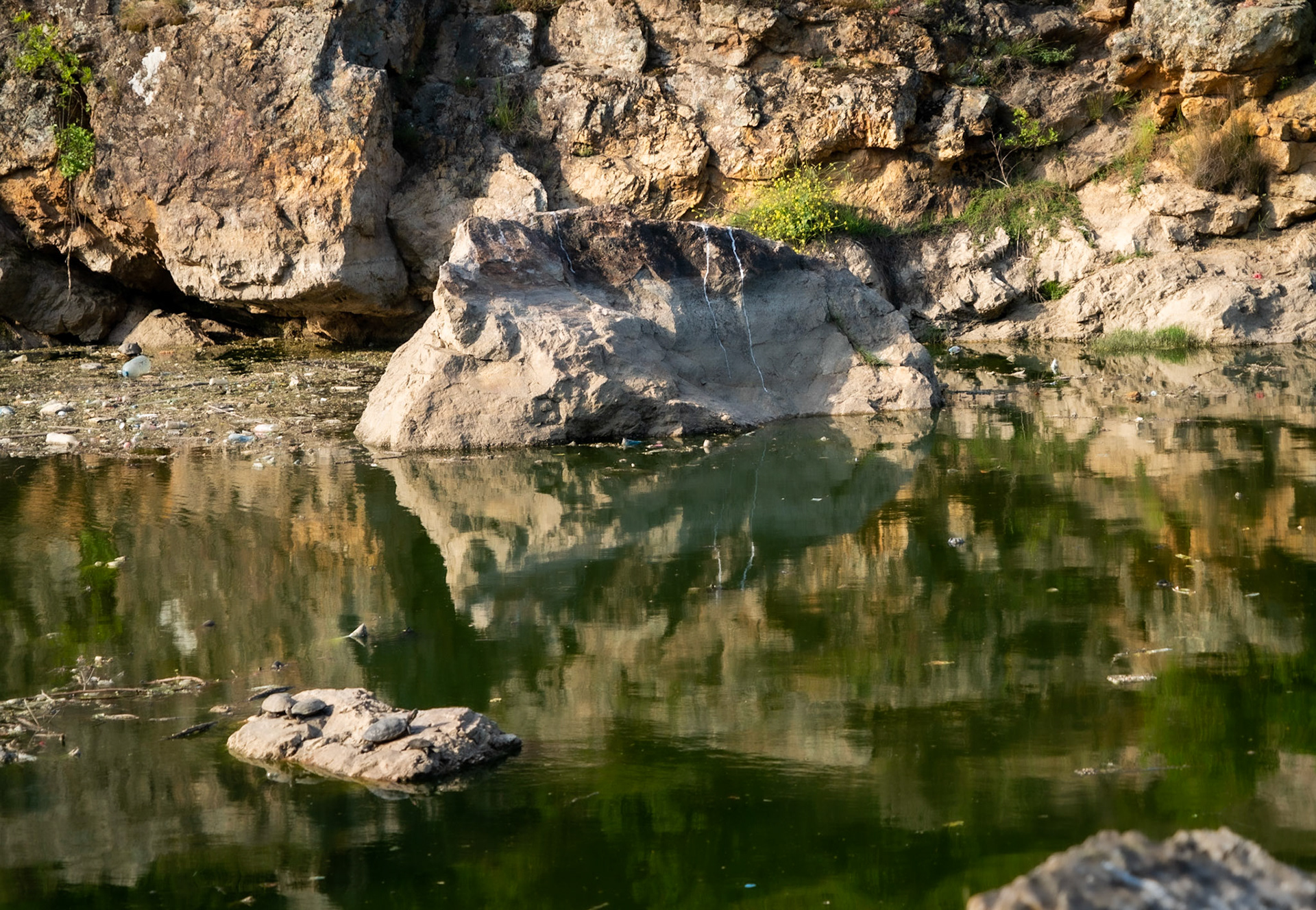 Paşaköy gorge: rocky reflection