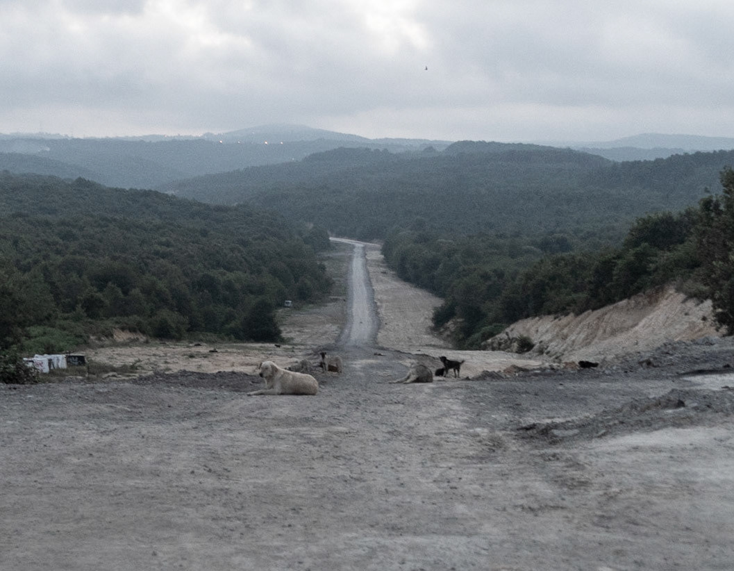 Ömerliköy watermain route: a dogville