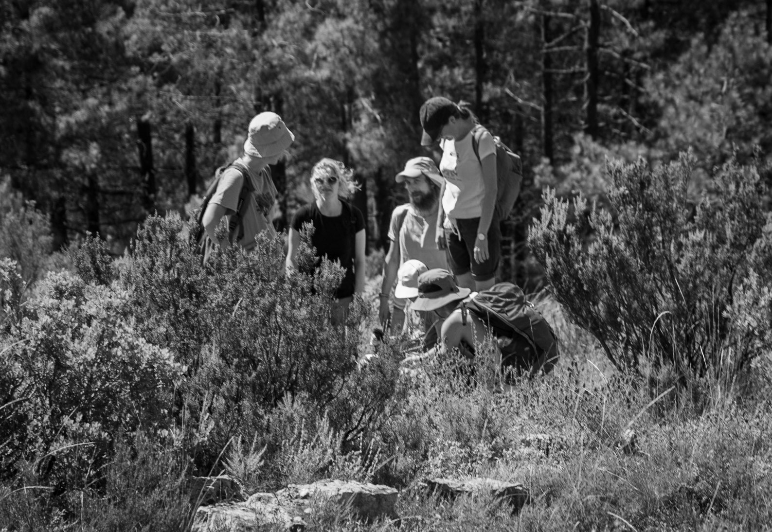 Karatay wood: hikers having a break