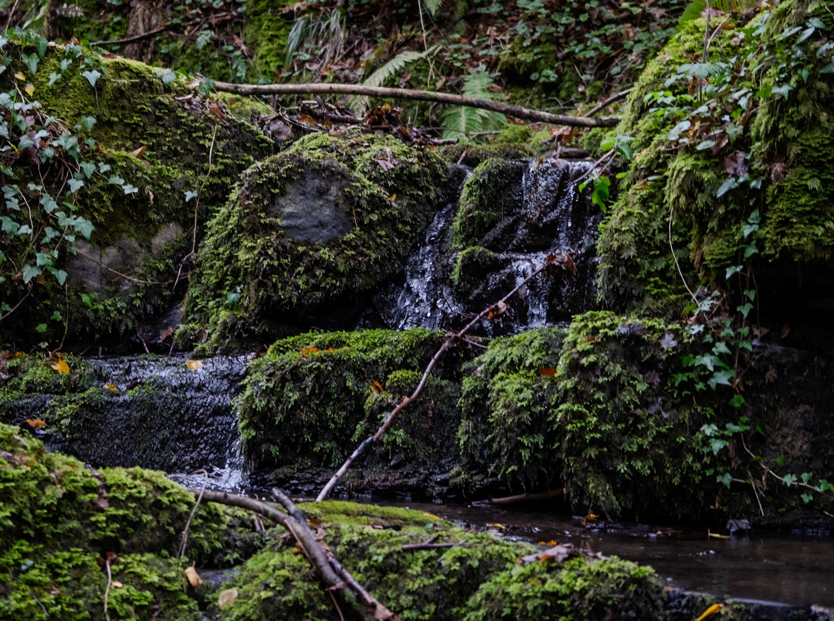 Ayhan Şahenk double stream walk: small waterfall