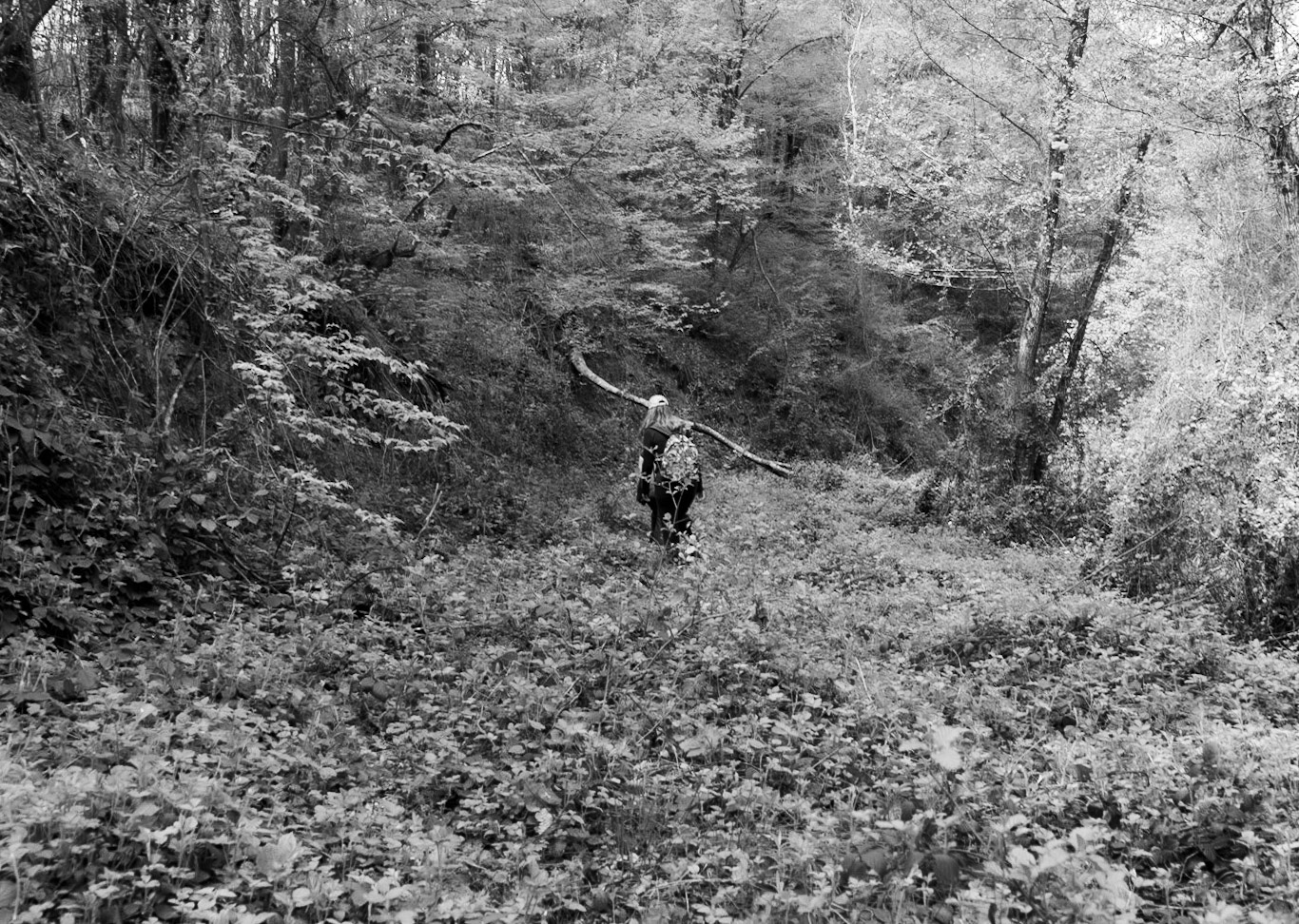 between Alemdaǧ and Reşadiye: on a beeline