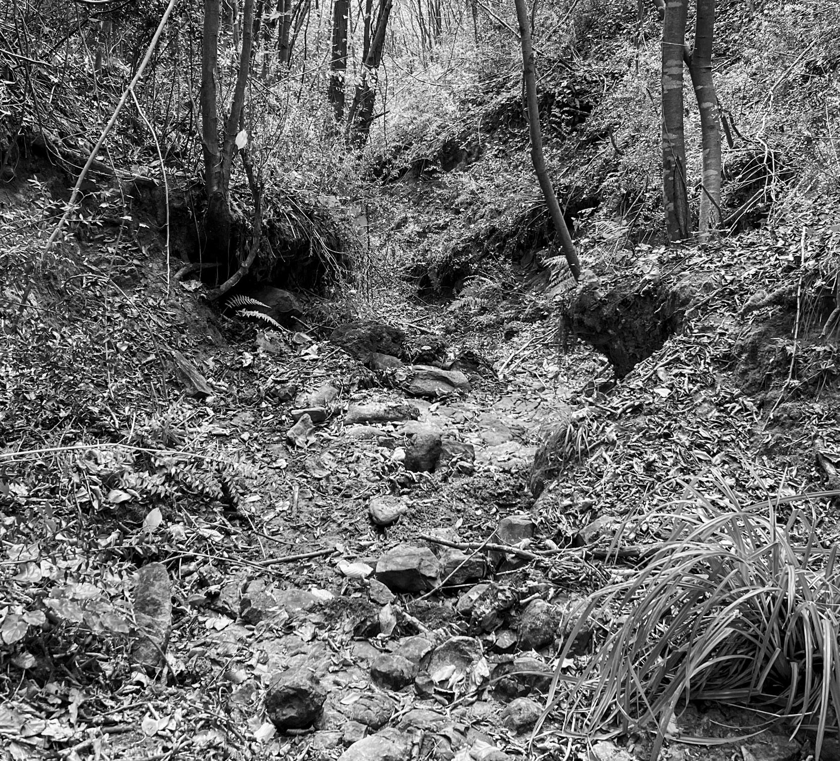 Kılıçlı southeastern streambed: rocky streambed