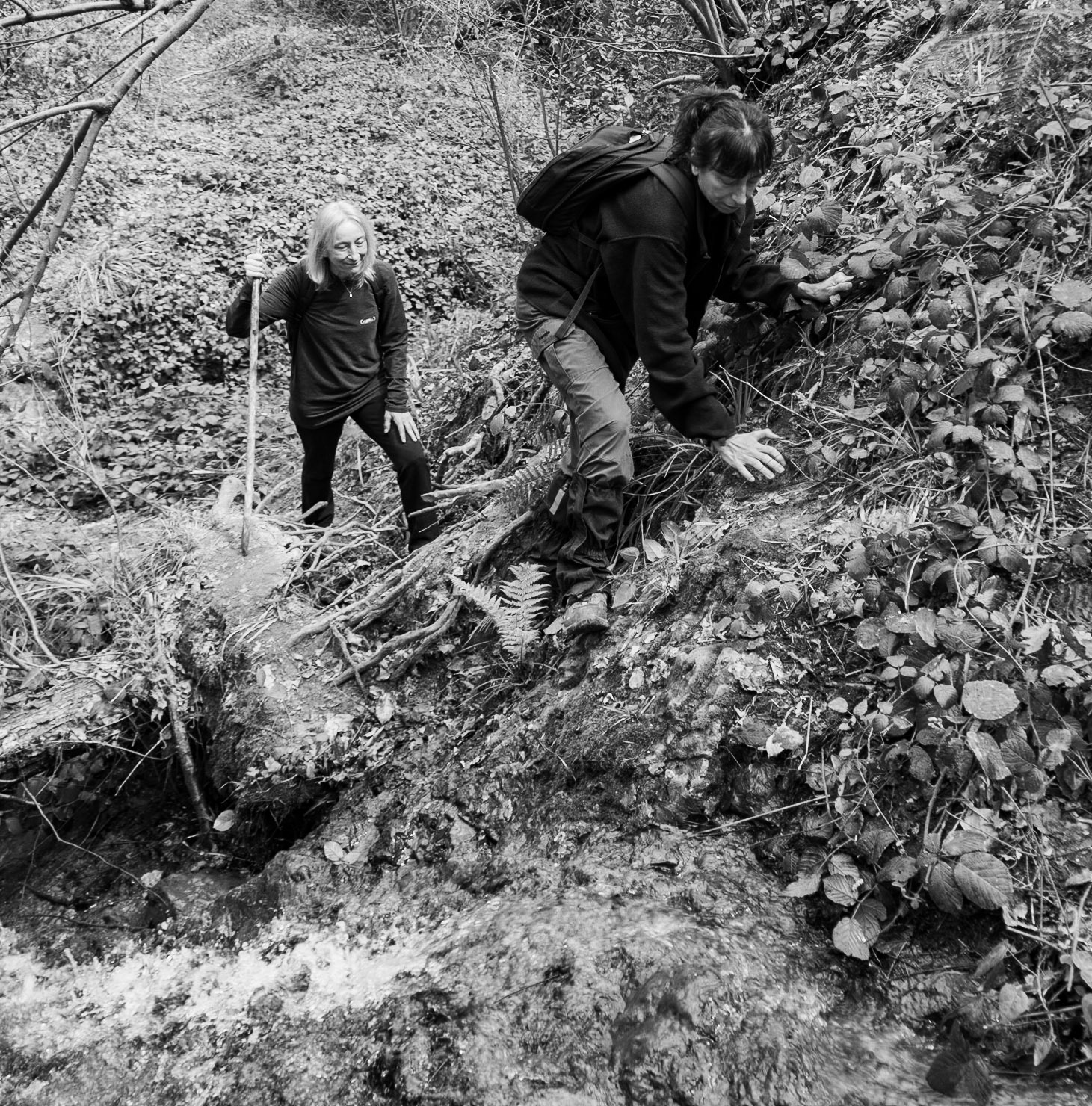 Deǧirmen’s western tributary stream valley: climbing around a small waterfall