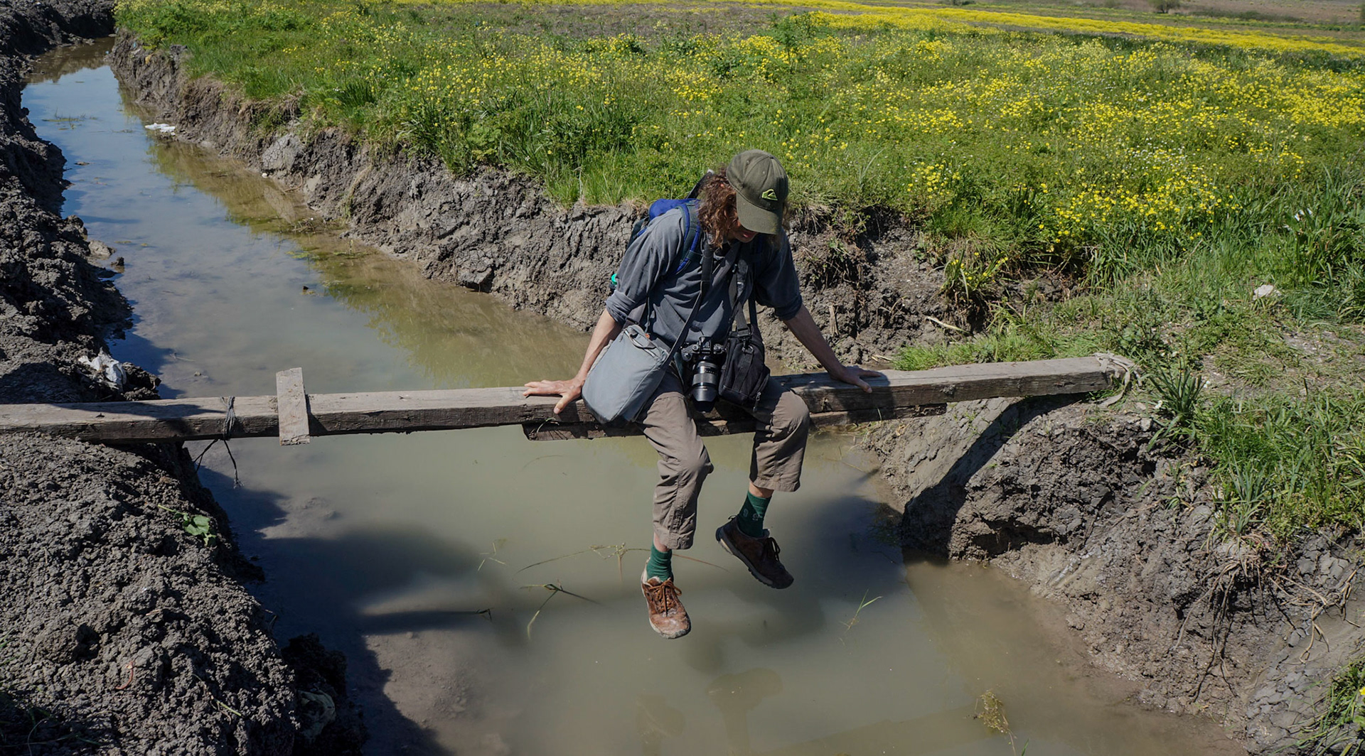 between Istanbul University's veterinary farm and agricultural faculty: despite years of yoga, when it comes to crossing ditches on narrow planks, Nick prefers to sidle