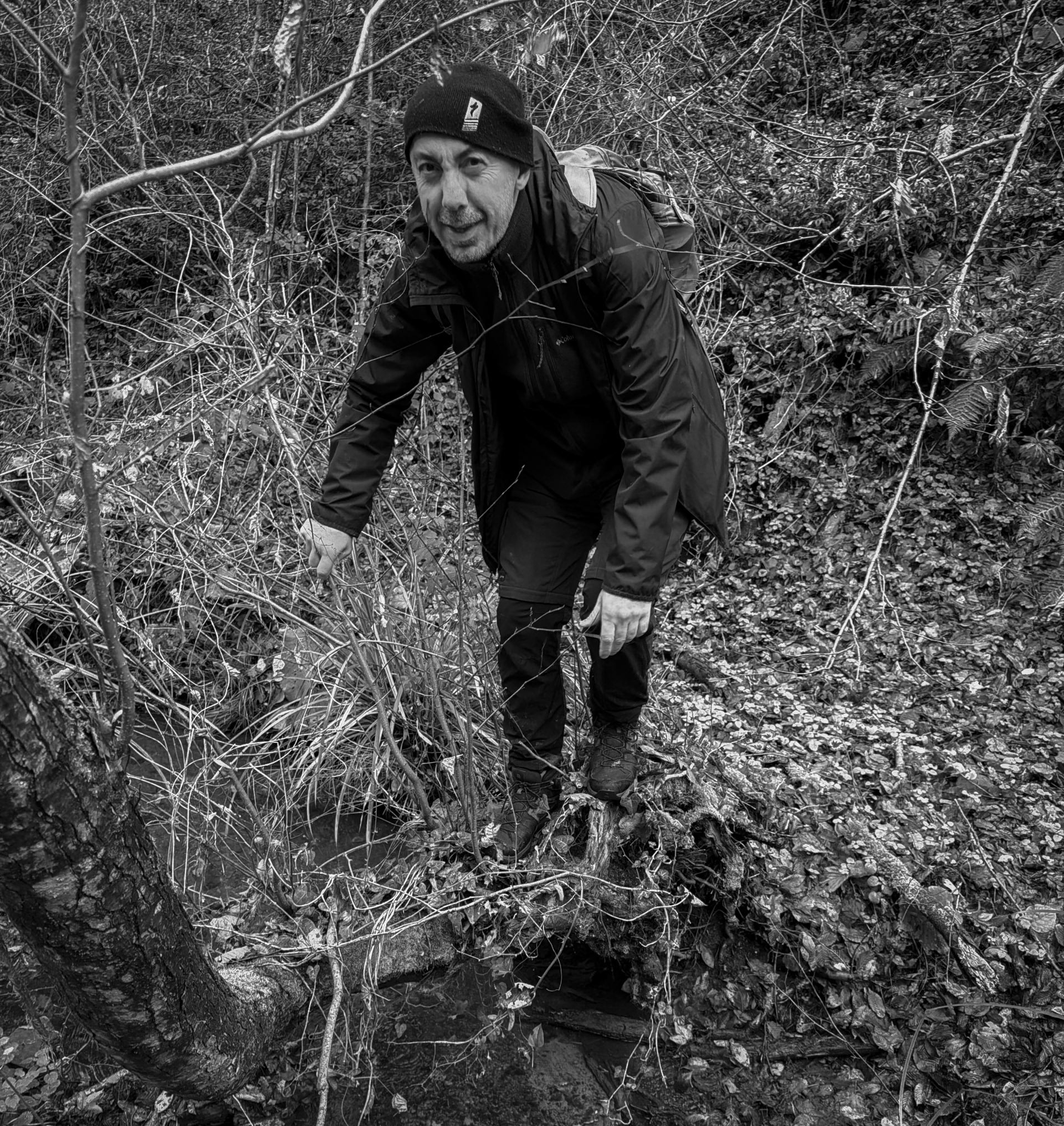 İshaklı forest: happy mood