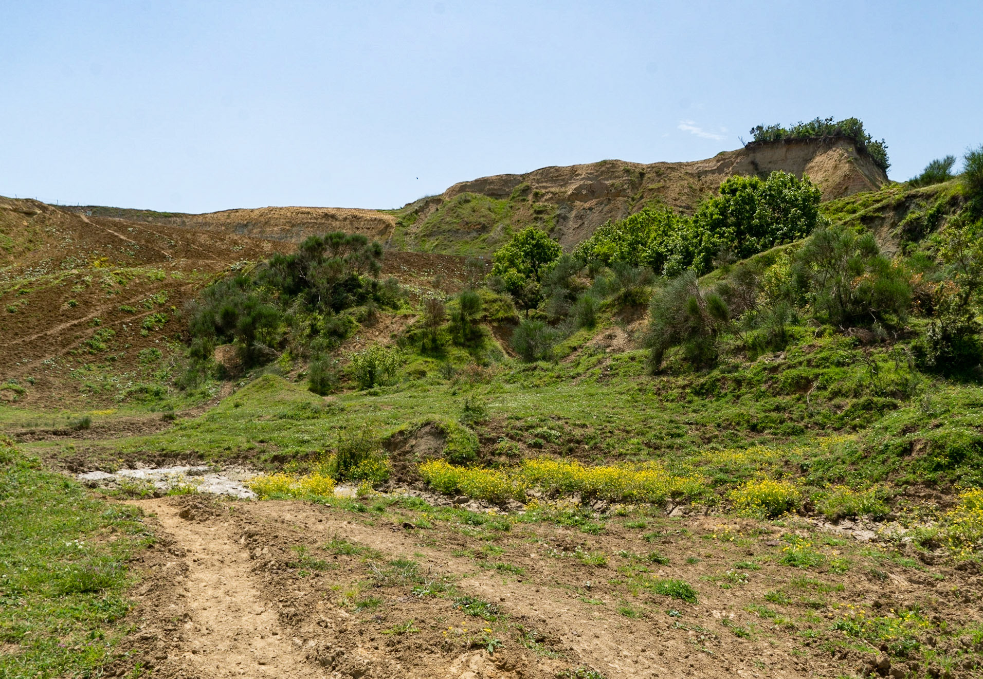 Yeniköy: abandoned mining land around the pond