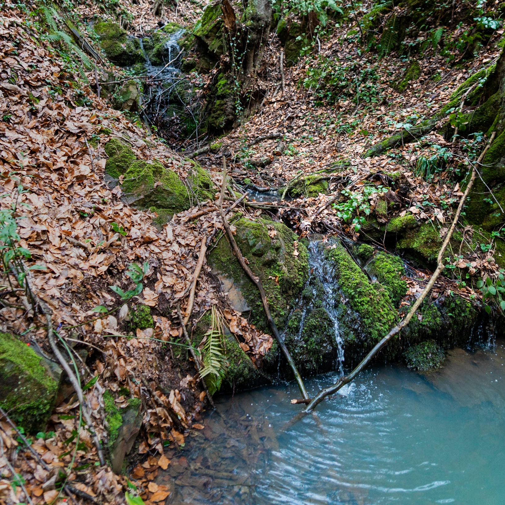 Kozu Deresi valleys: small waterfall and pool