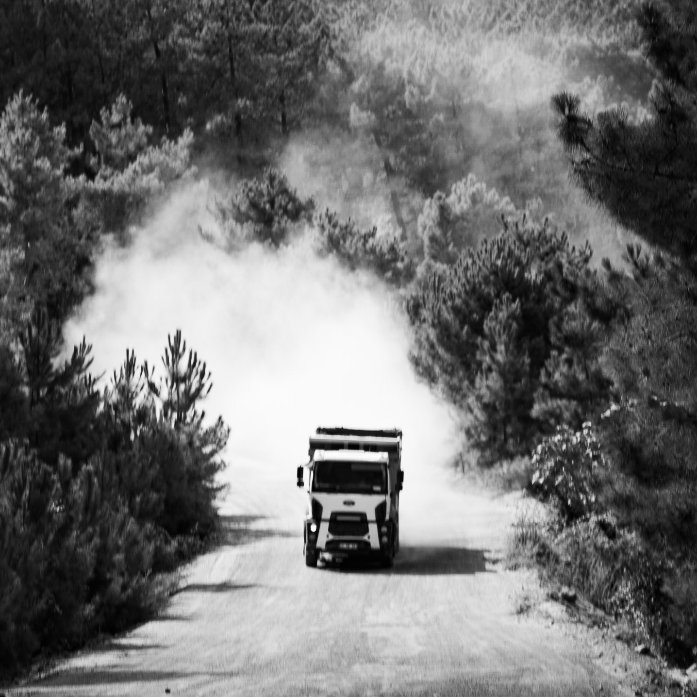 between Kurna quarry and the English Houses: dusty truck