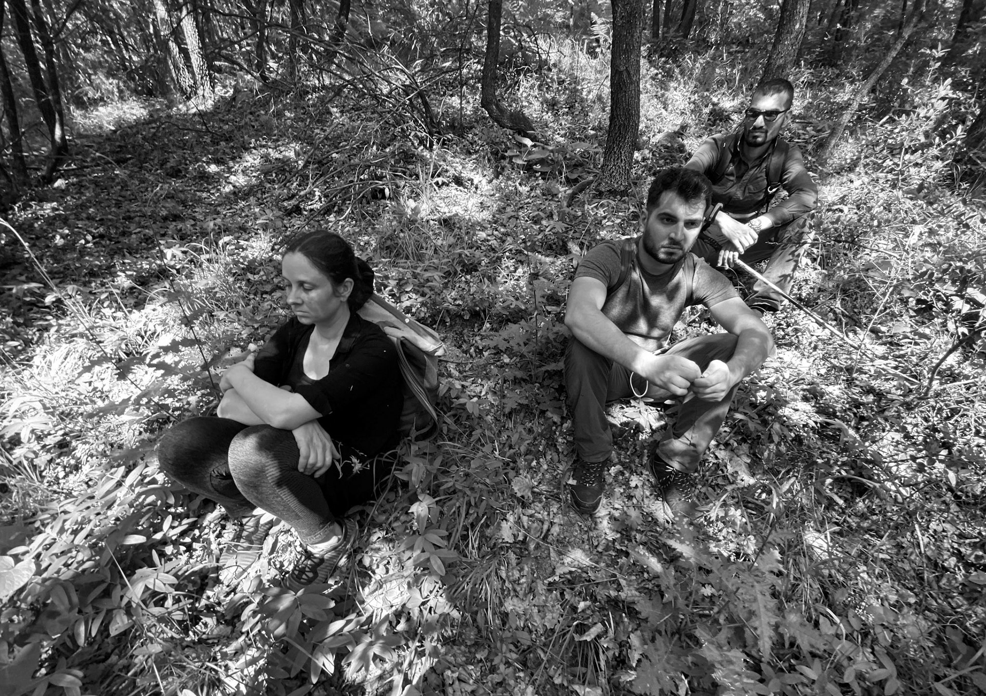 Paşaköy southern woods: aftermath of a beeline