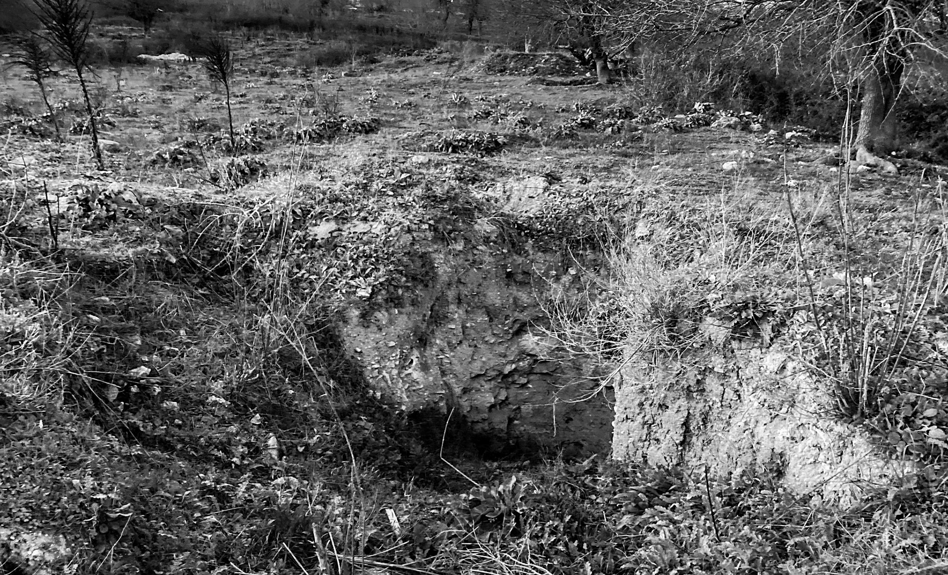 Melentiade: a treasure hunters' digging (I suppose)