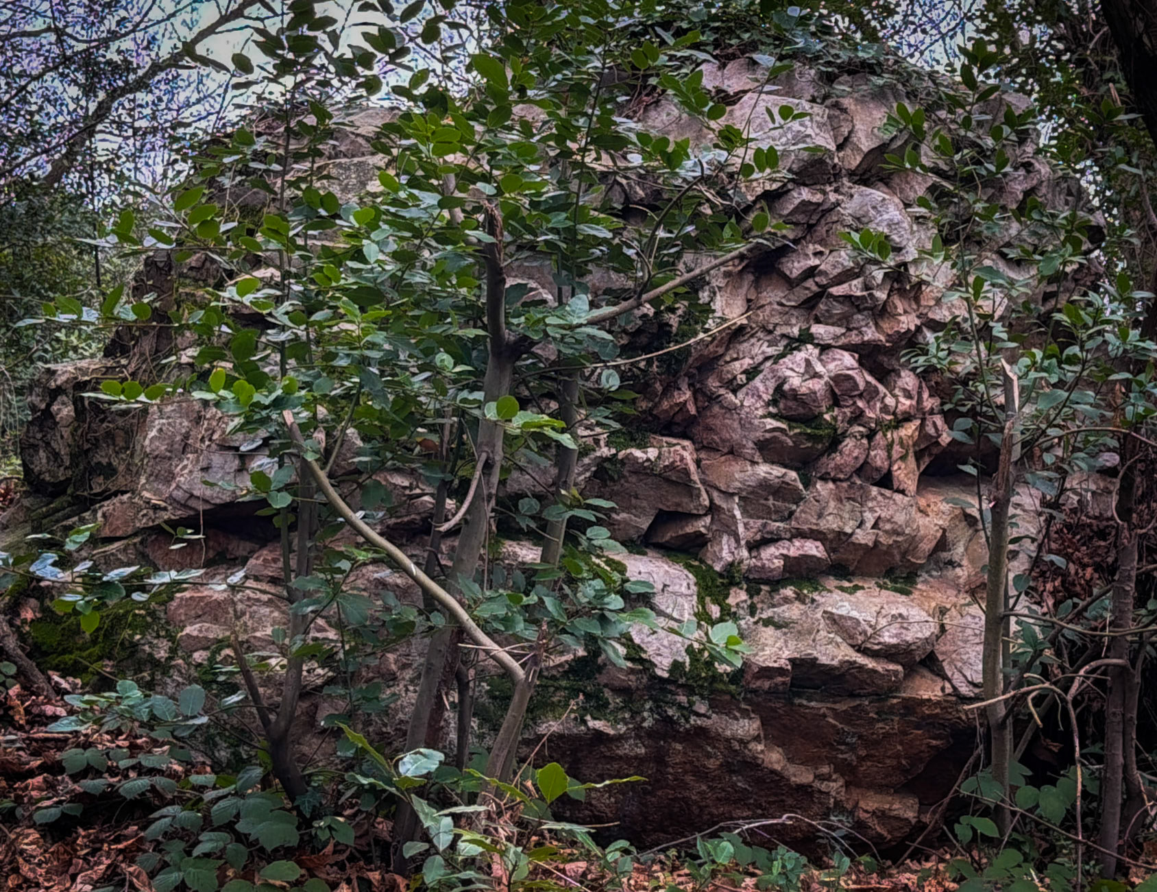 Dereseki forest traverse: rocky outcrop
