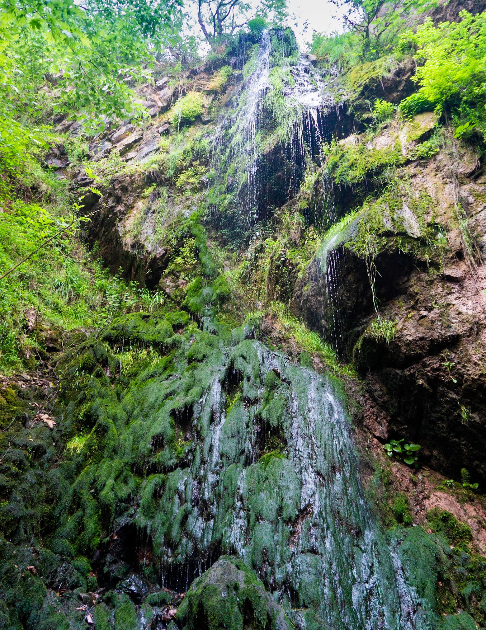 Şarlak waterfall: view