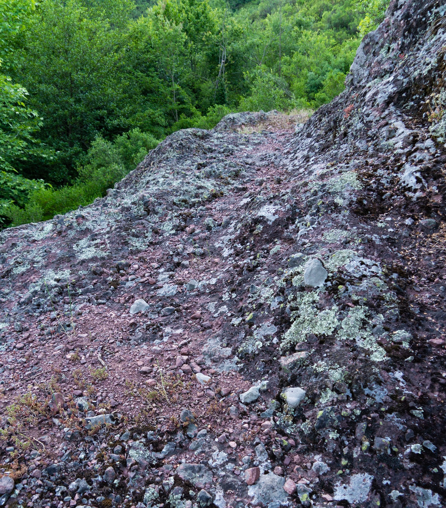 Kargalı northwestern forest: rock ledge