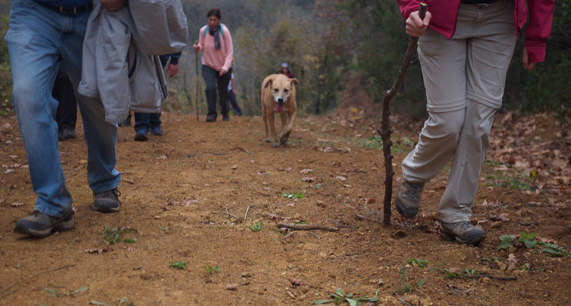 between Zekeriyaköy and Rumeli Kavaǧı: hiking from Argos's point of view
