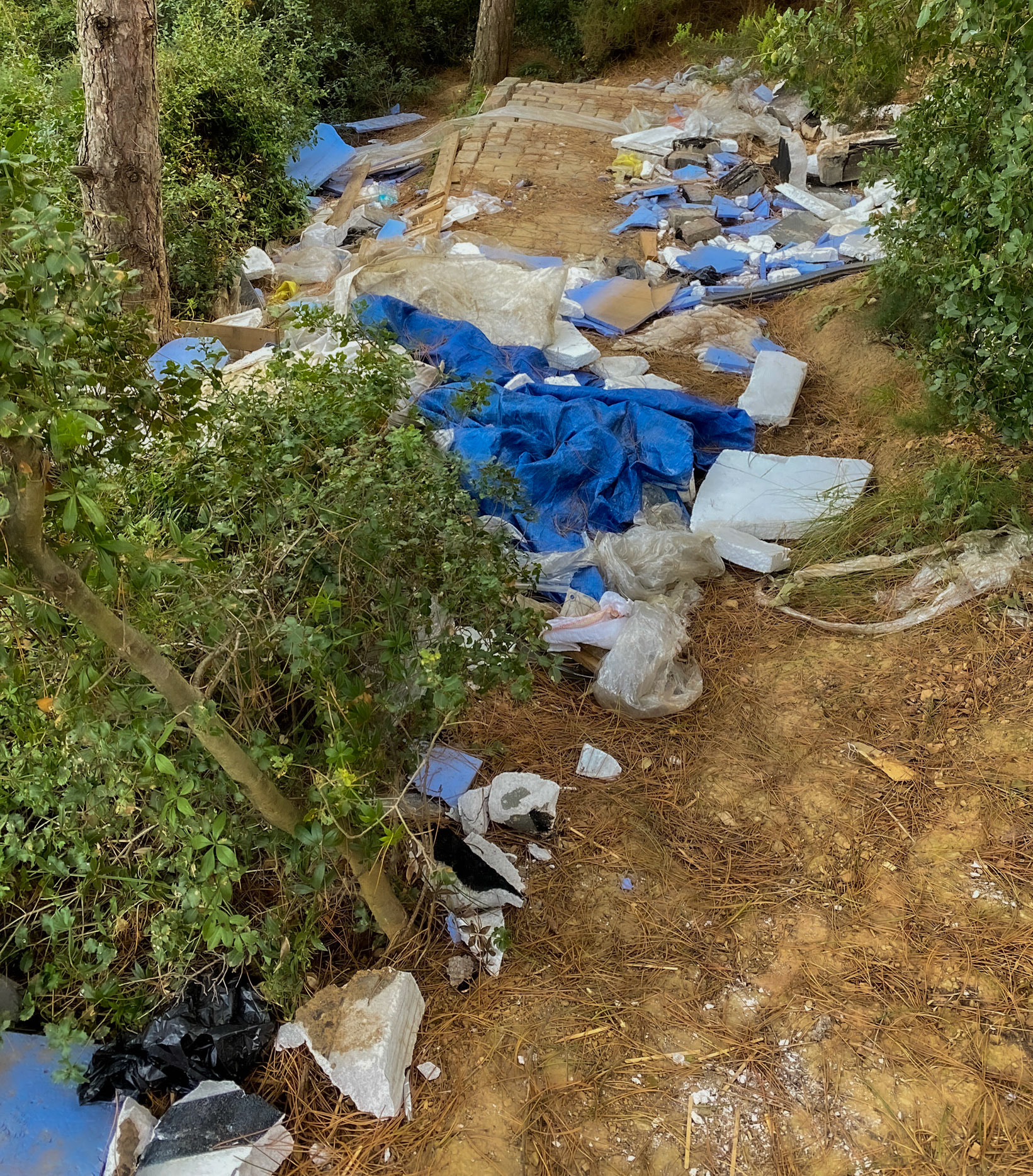 between Gazi and Alibey dam: trash