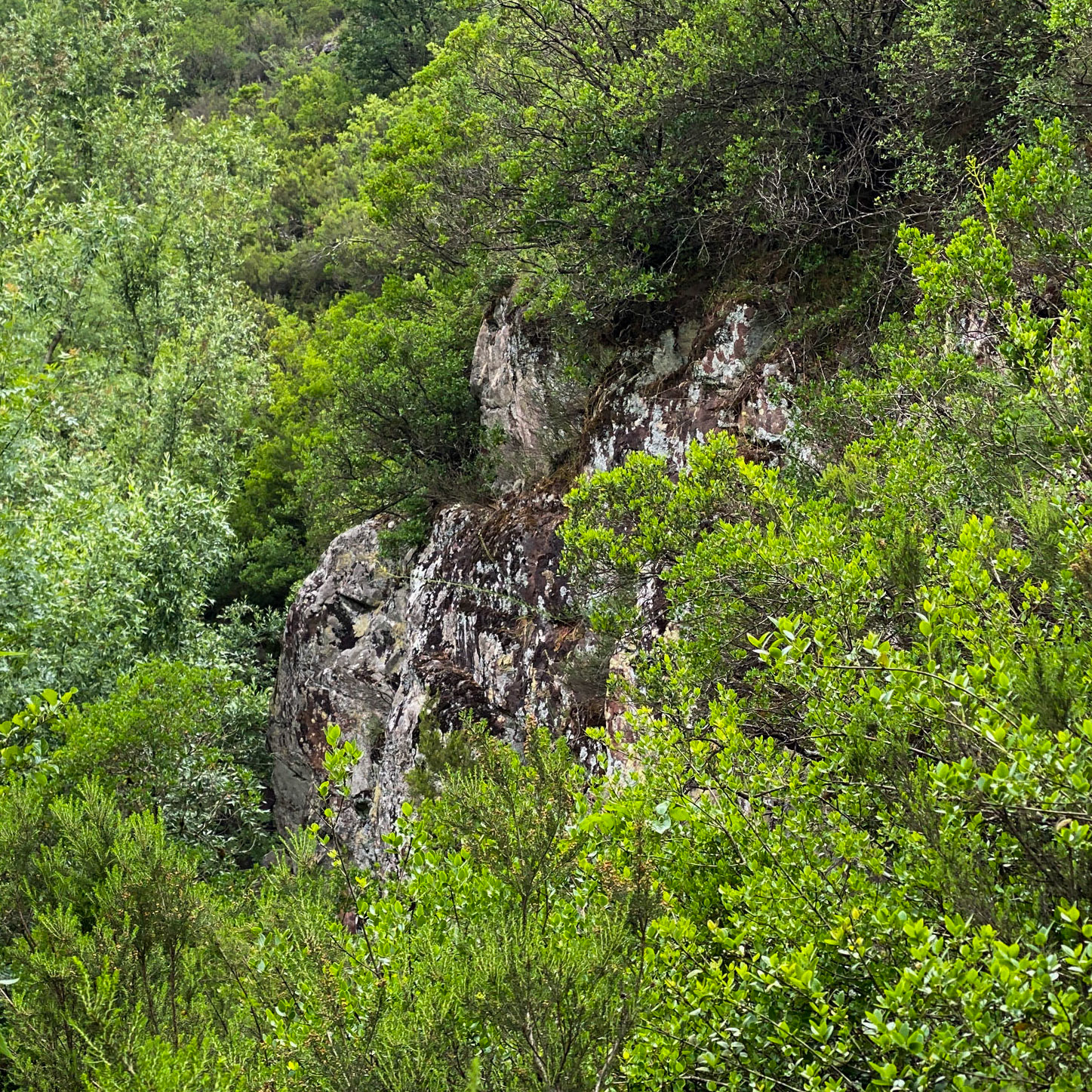 Sığırlık gorge: rockface