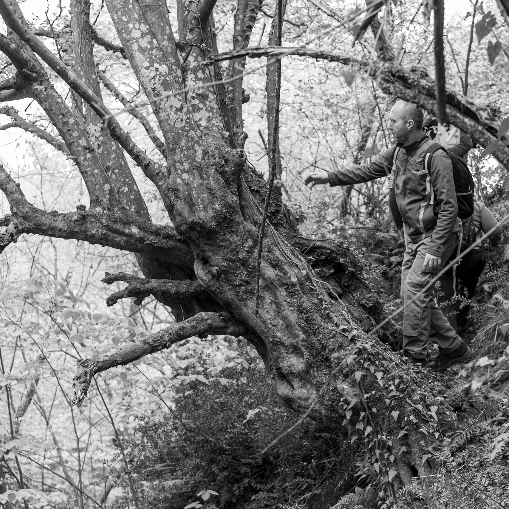 between Kılıçlı Köyü and İshaklıköy: Cuneyt and an old tree