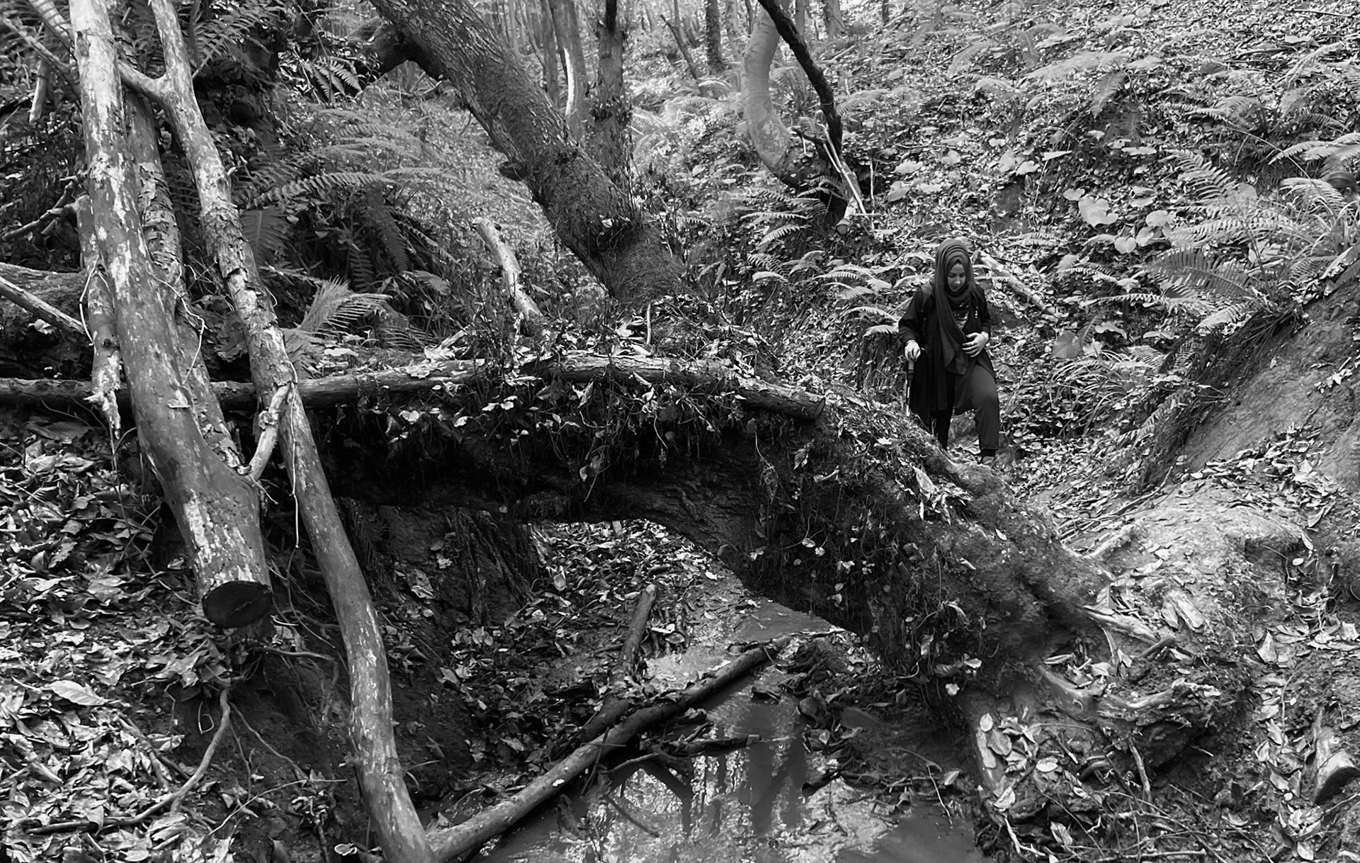 Zerzevat east streamwalk: Khalia and old tree