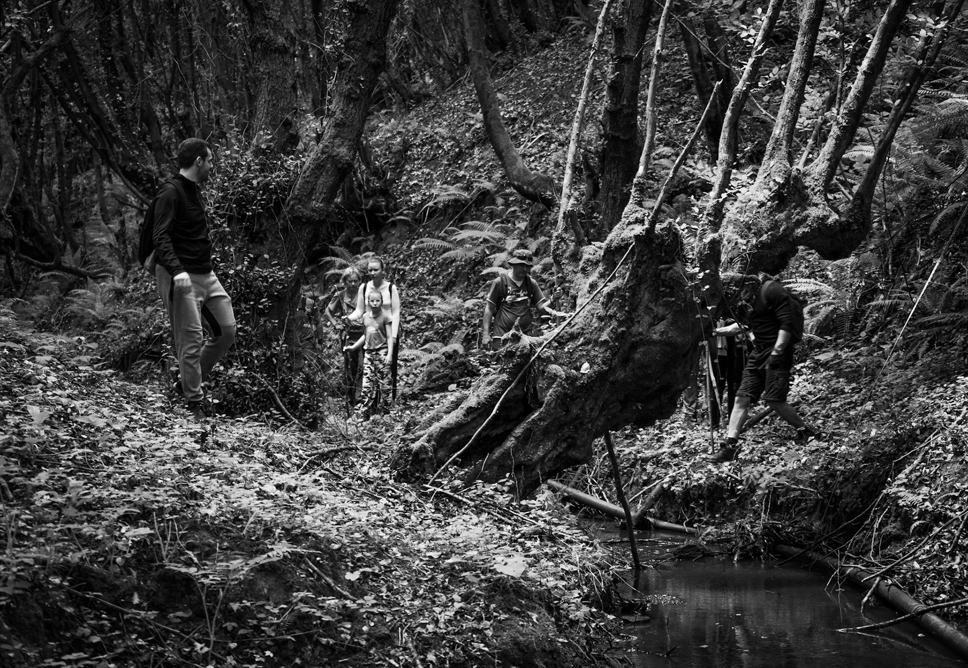 Zerzevatçı streamwalk: venerable tree and hikers