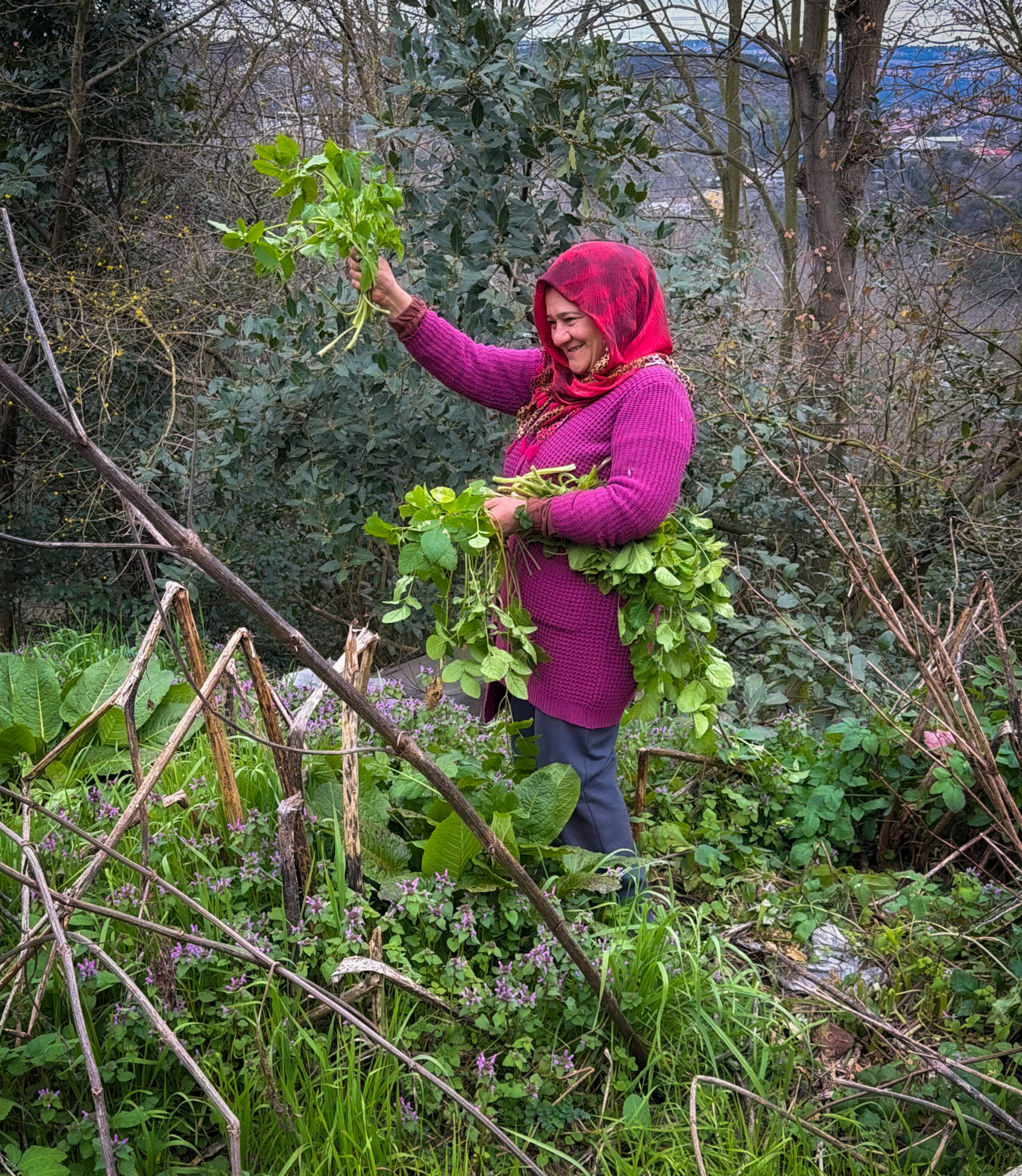 Dereseki forest traverse: before the beeline descent we pass a mostly-happy group of local women gathering plants and herbs