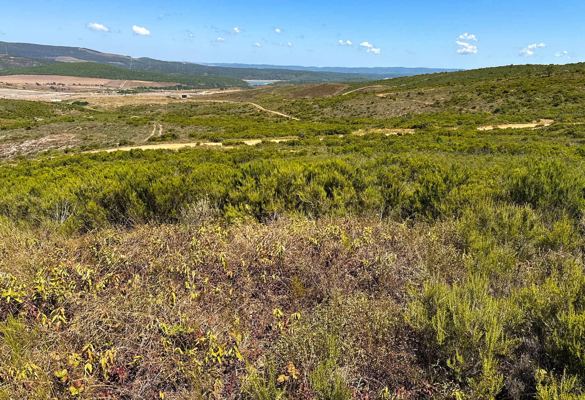 Zirve heaths: view north towards Ömerli reservoir