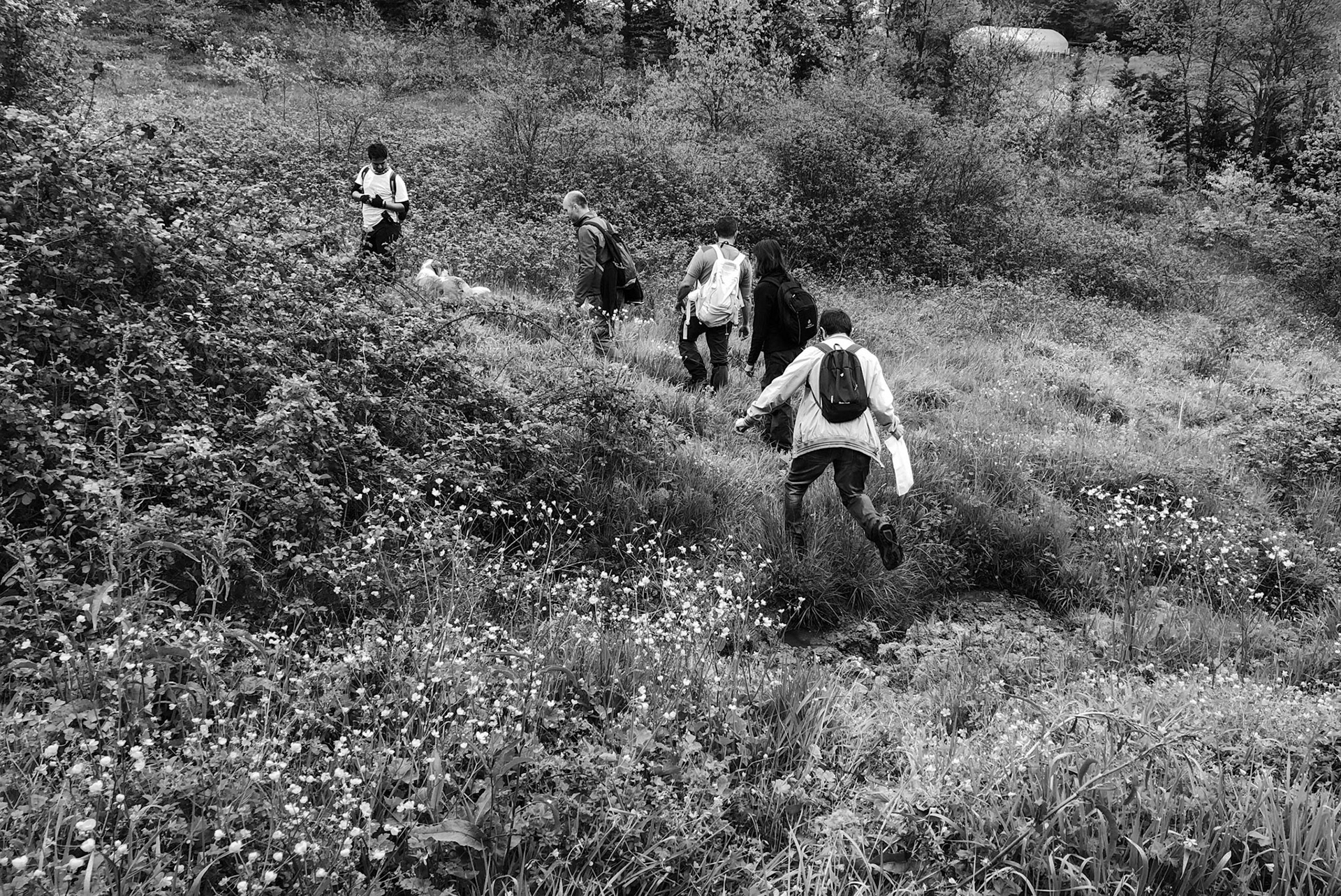 between Bozhane and Kılıçlı Köyü: jumping a stream