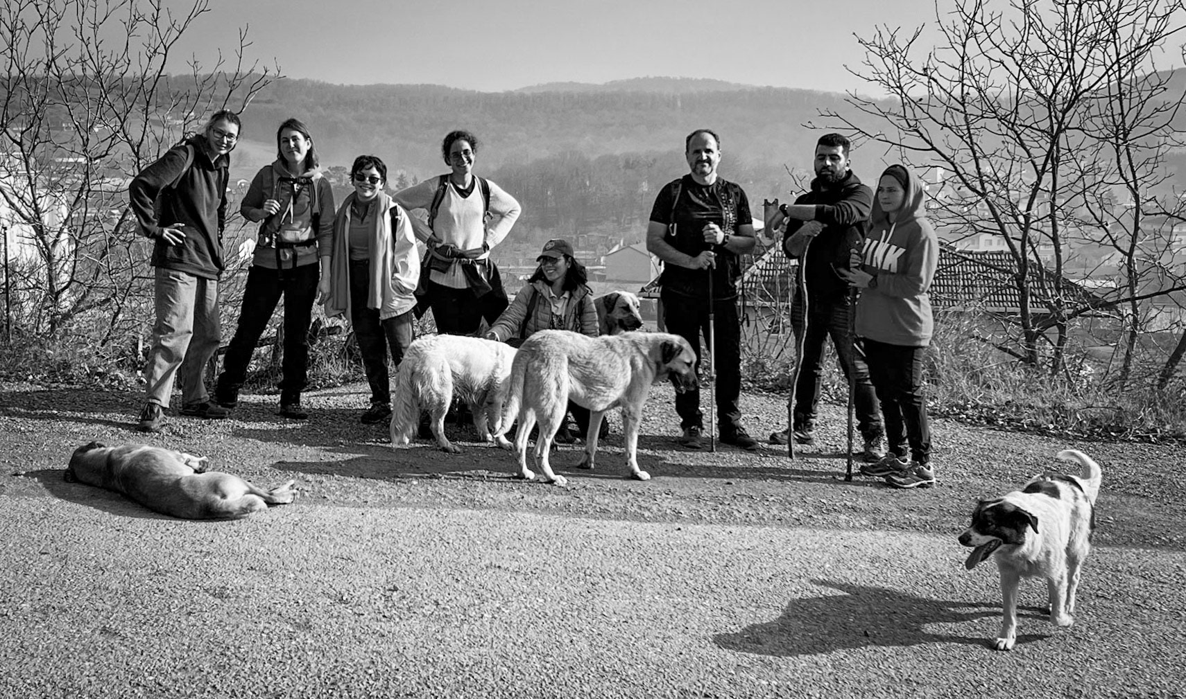 İshaklı: all the people and some of the dogs