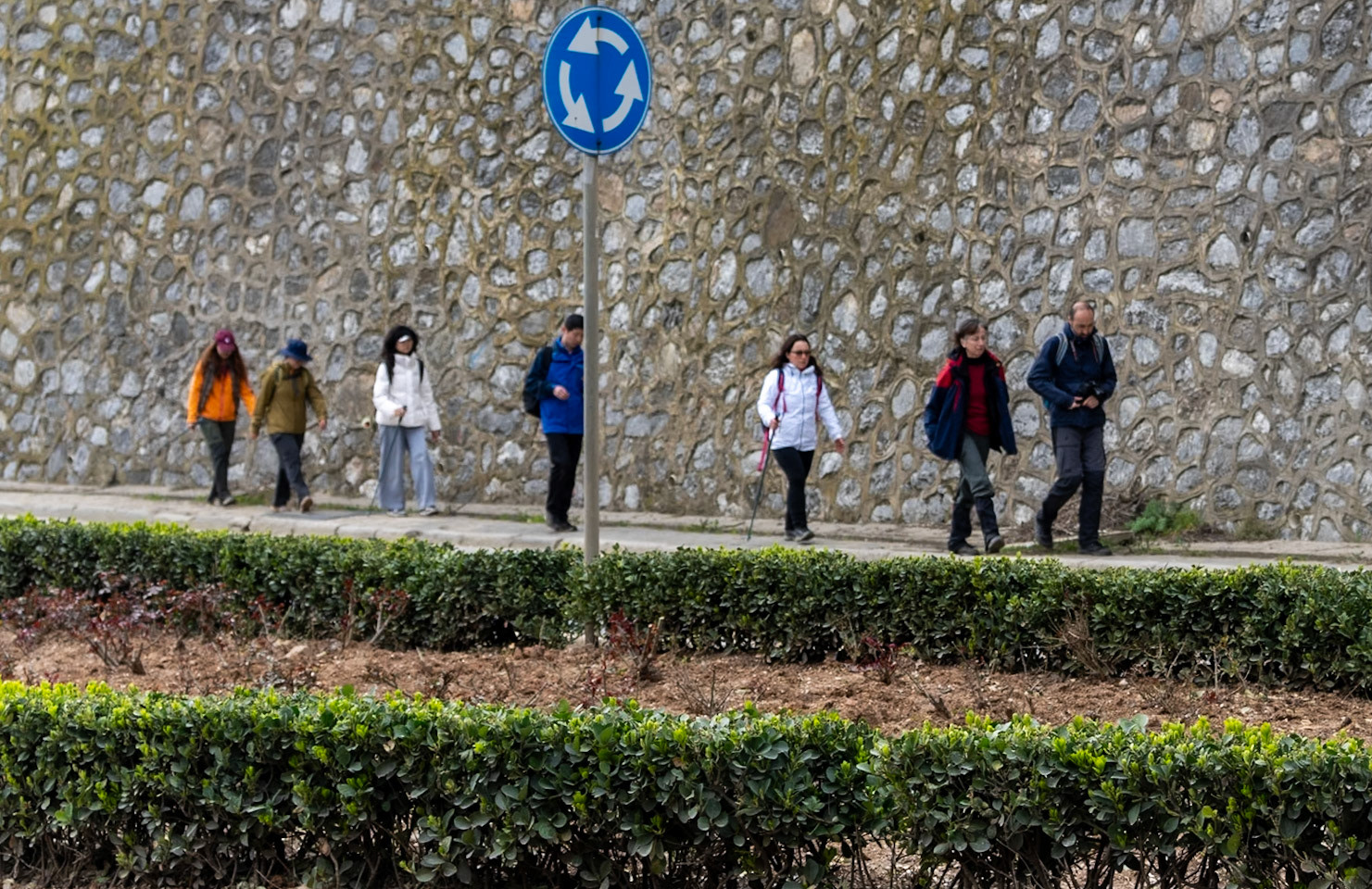 between Kaymakdonduran threatened wood and Kirazlı Ottoman ruin: walking alongside a busy road for a short way