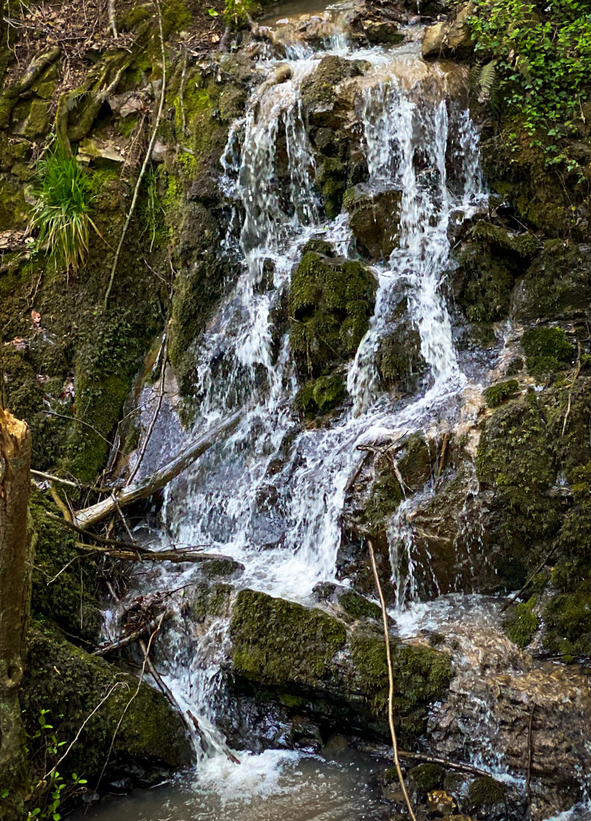 Polonezköy northern forest: waterfall