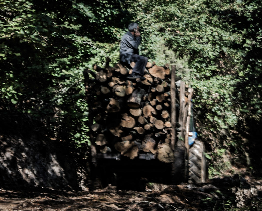 Mahmut Şevket Paşa southern forest and hills: blurry wood truck and forester on his phpne