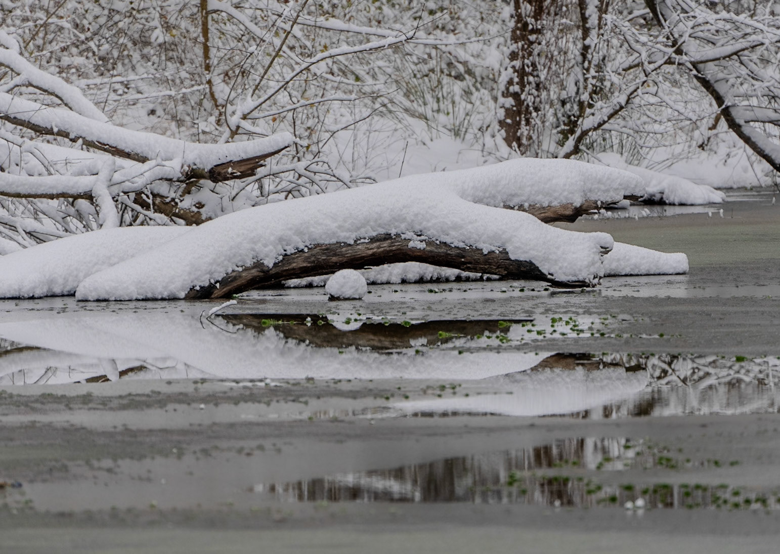 Valide Sultan reservoir: snowy reflecftions