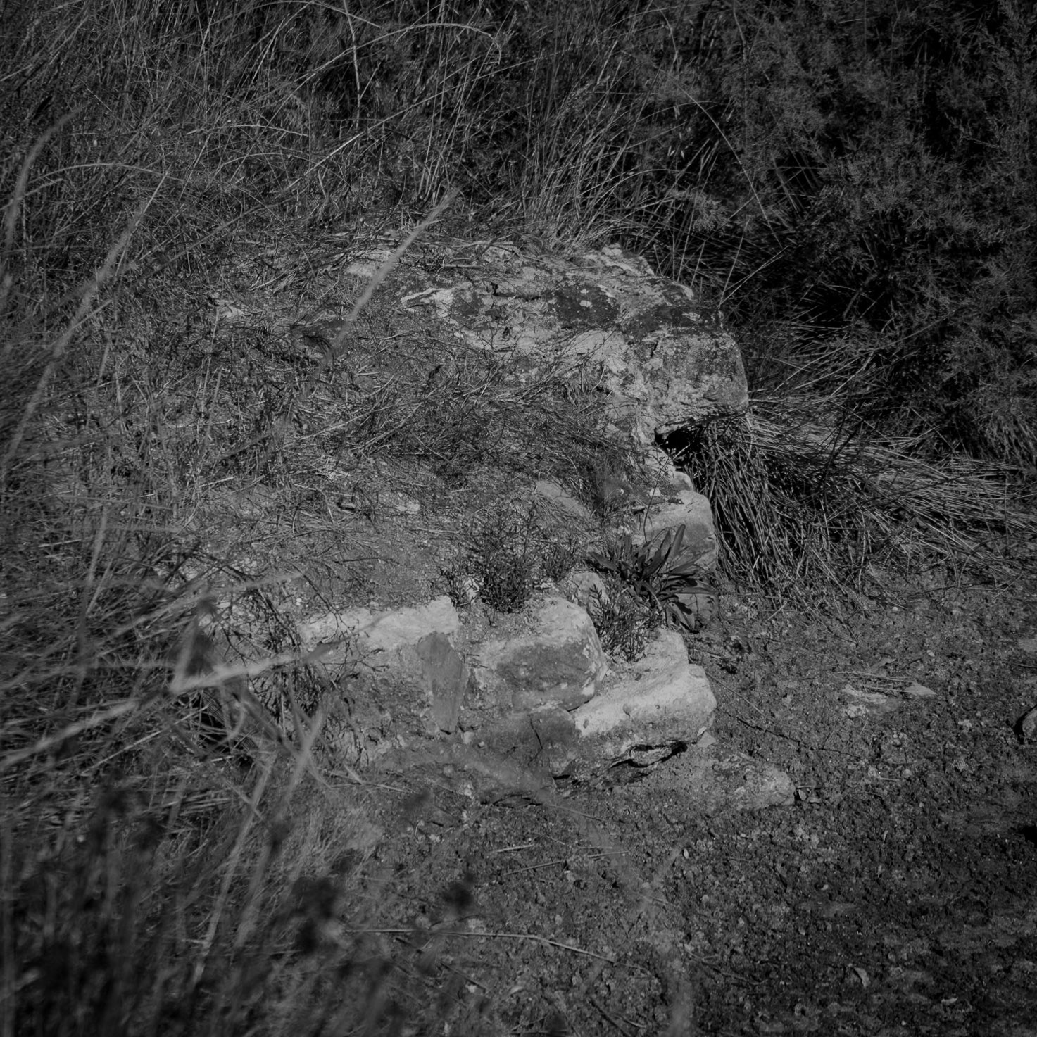 Bathonea south: (supposed) Roman wall