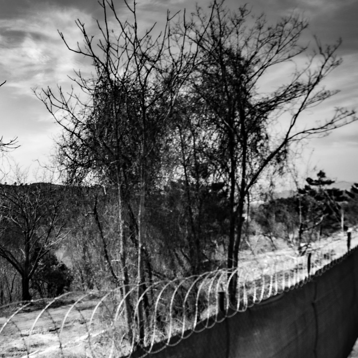 Kirazlı woods: the northern perimeter fence