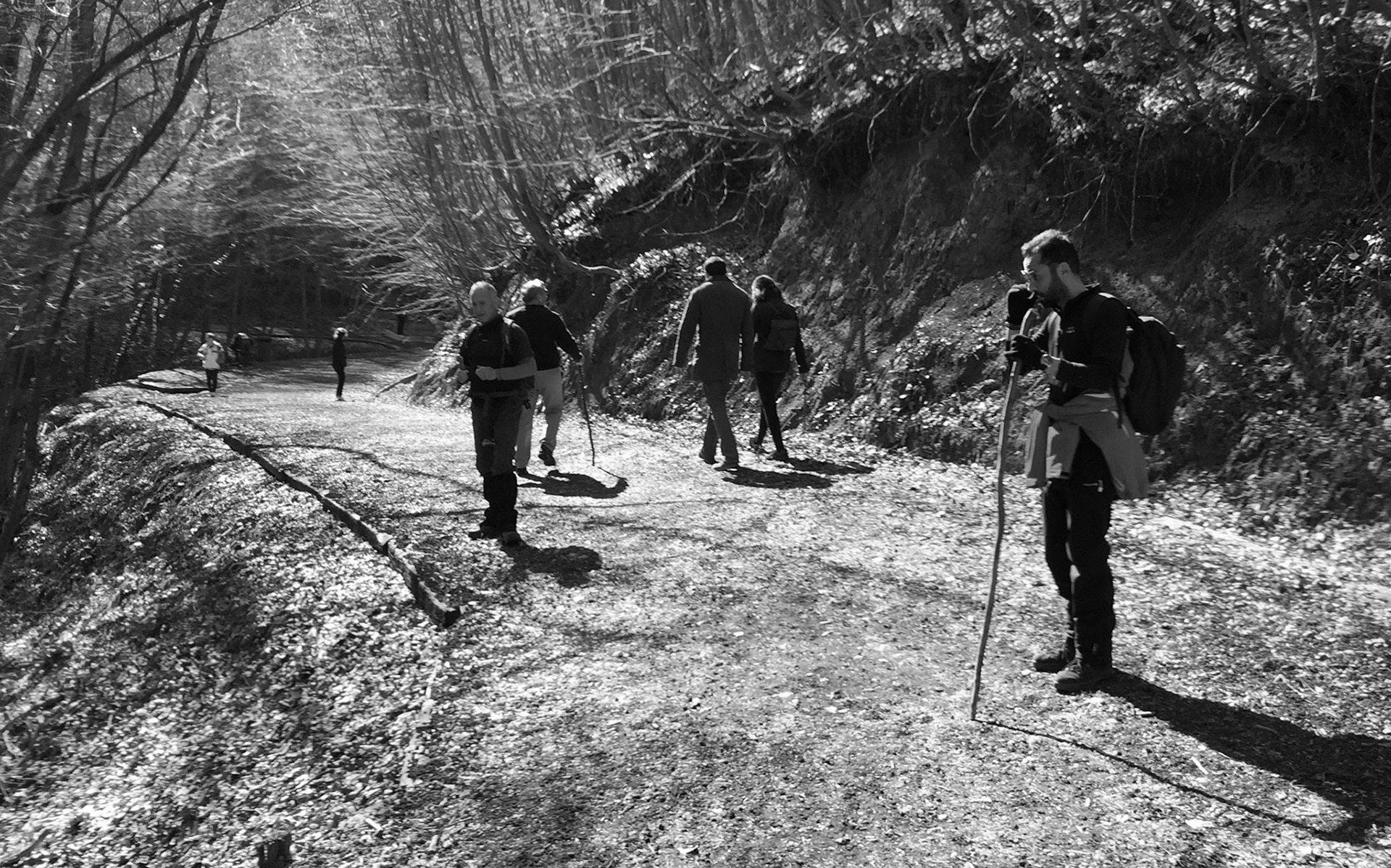 between Polonezköy &amp; Zerzevatçı Köyü: walking on the recreation track (not for long)