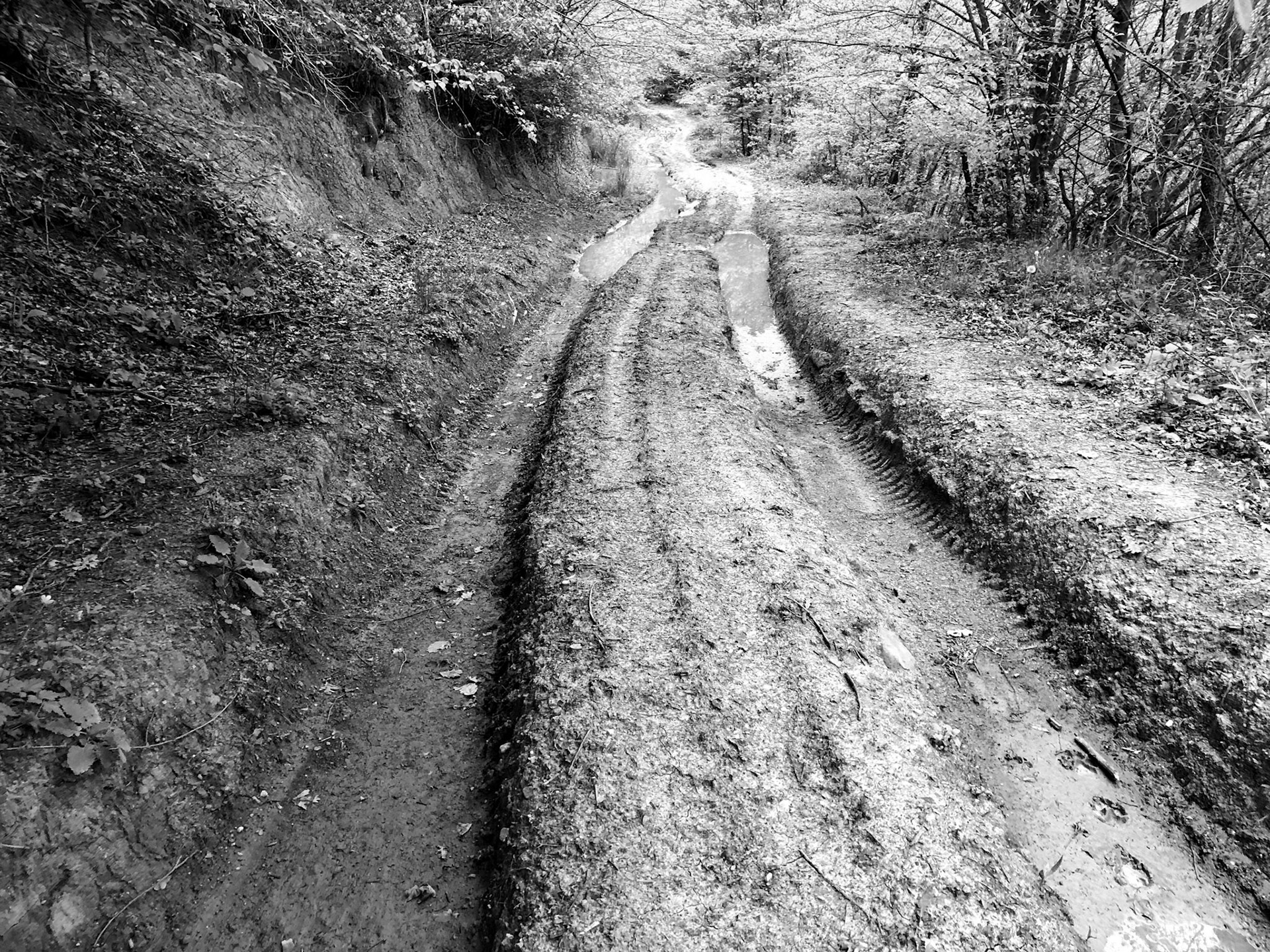 east of İshaklıköy: muddy track