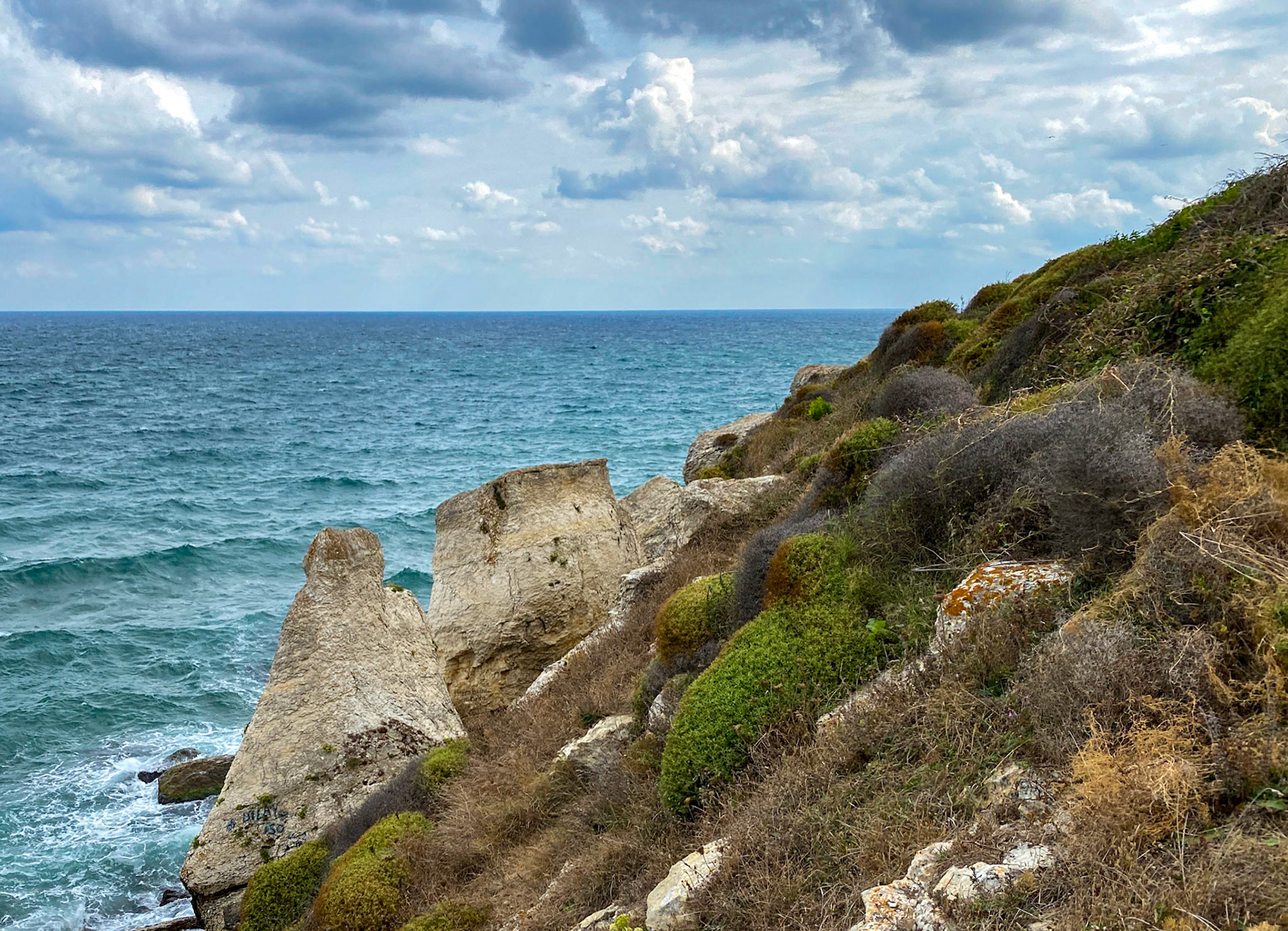 Sahilköy basalt columns: view