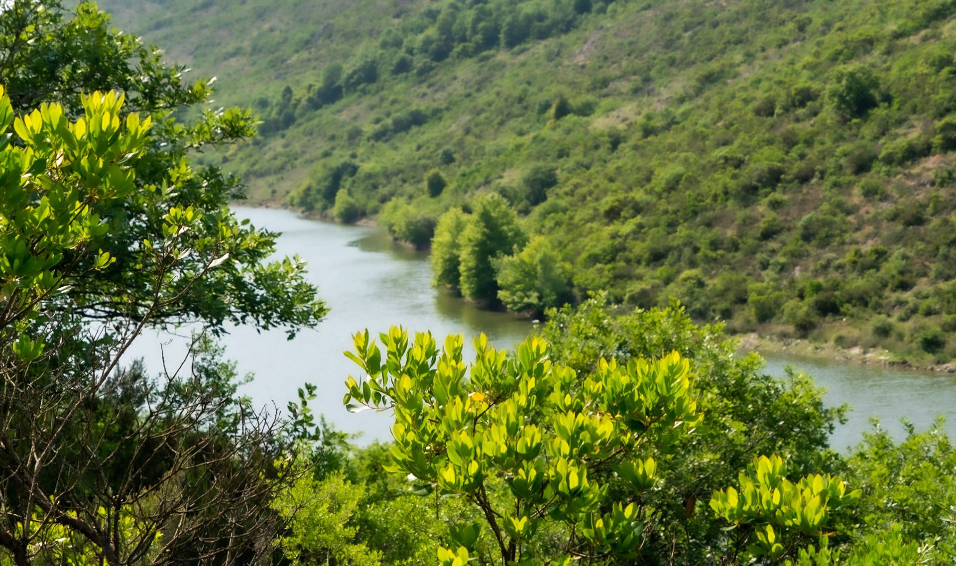 Paşaköy gorge: view in the eastern part