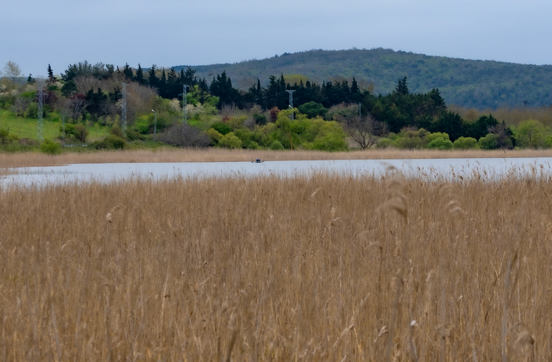 between the first Sazlıdere flower meadow and Terkos: lake view