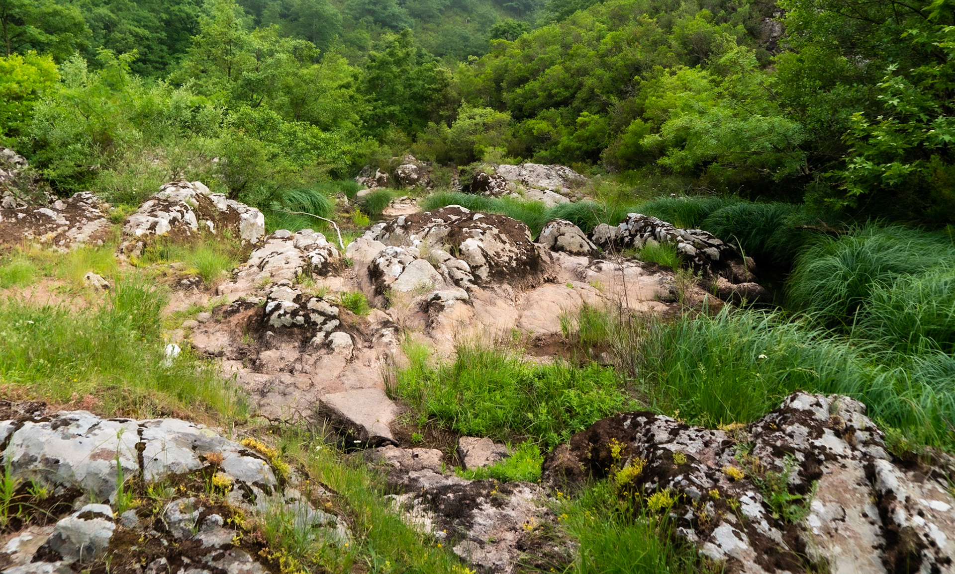 Sığırlık gorge: view