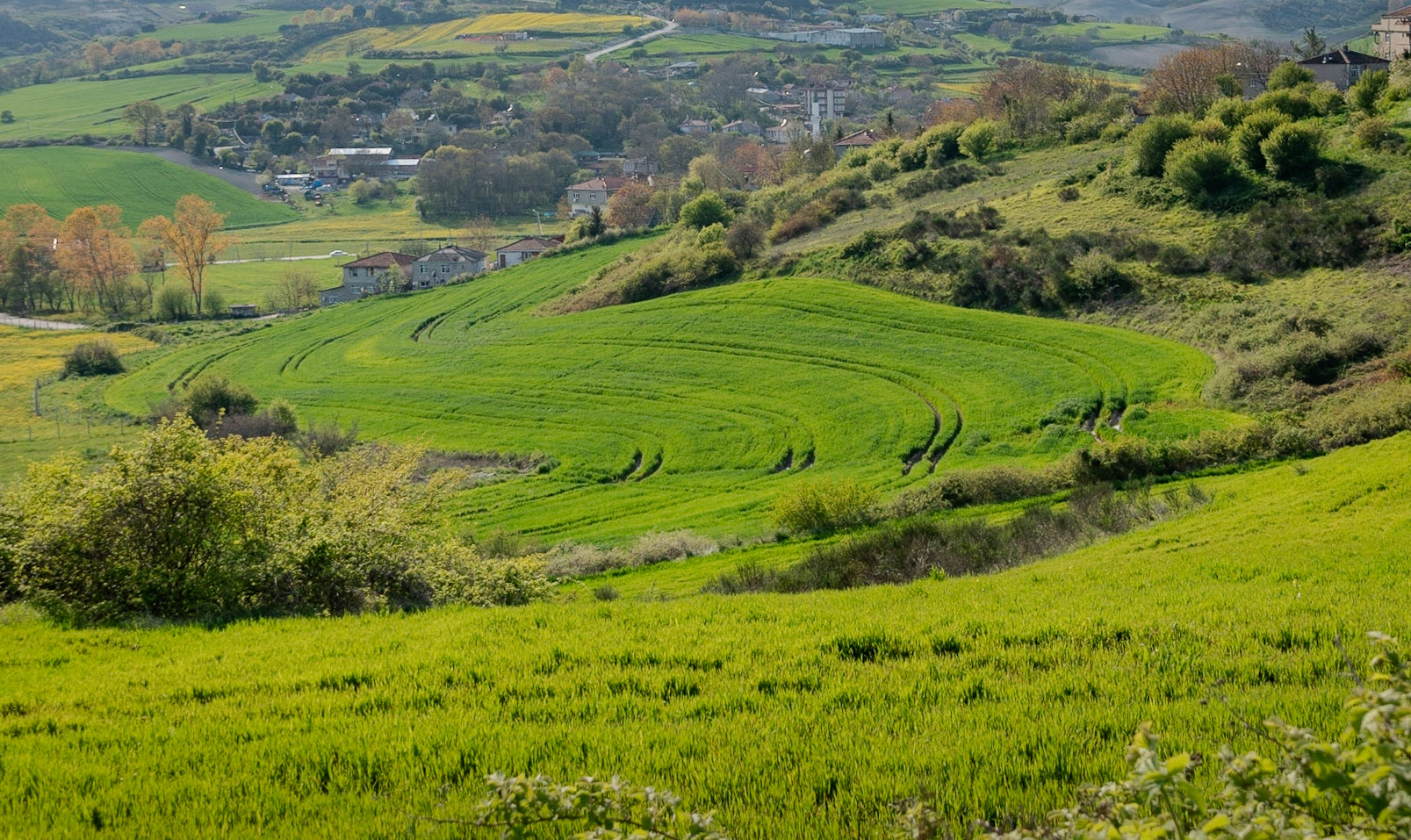 between Boyalık and Baklalı: rolling farmland, with Boyalık in the background