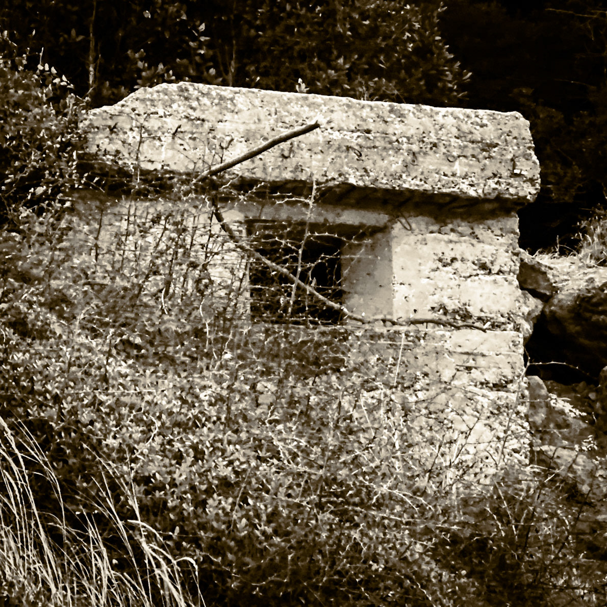 between the English Houses and Riva: 1st world war bunker