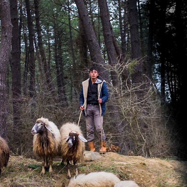 ultra-cool shepherd lad in the woods around İmrahor Reservoir