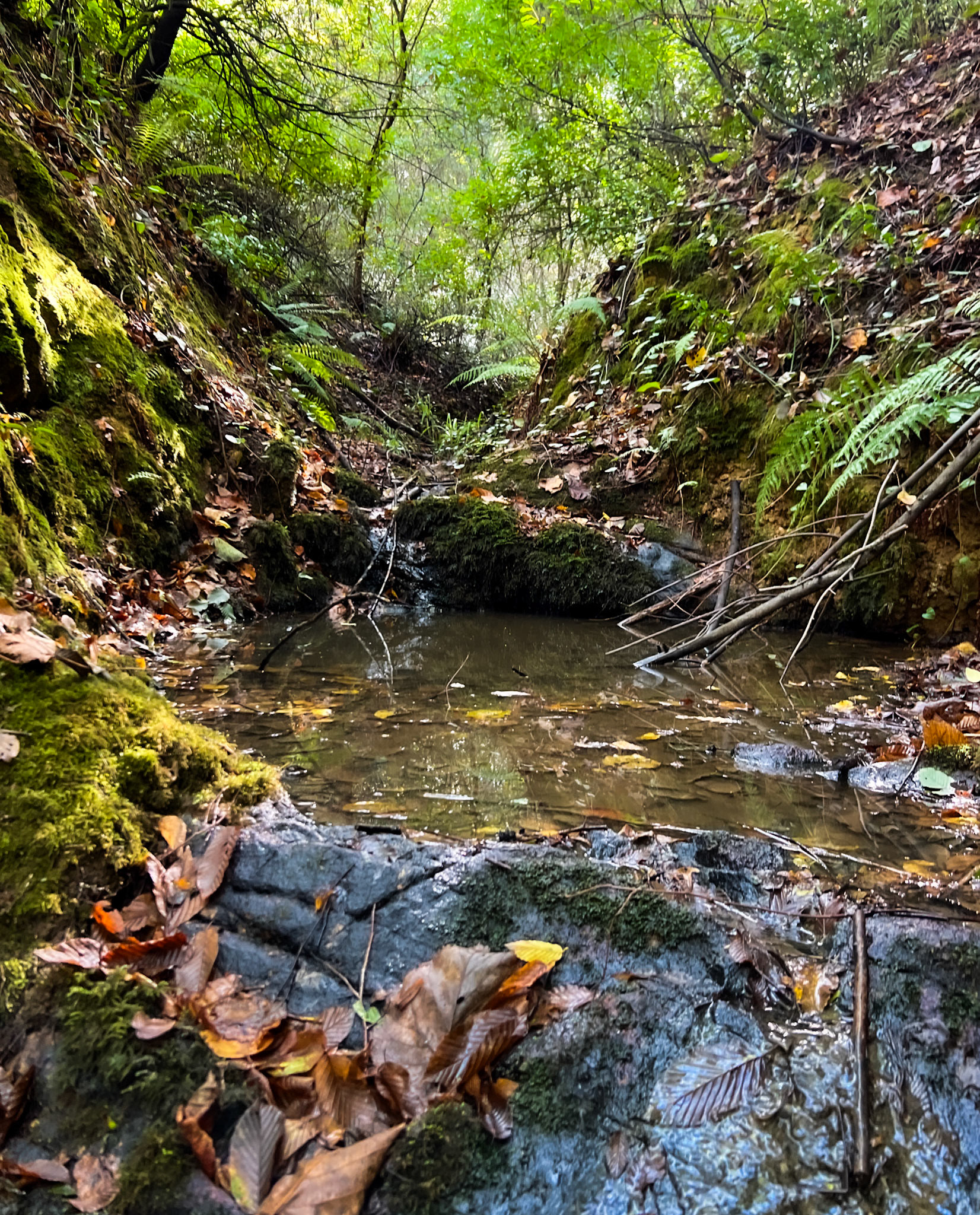 A Riva river tributary streamwalk: small waterfall
