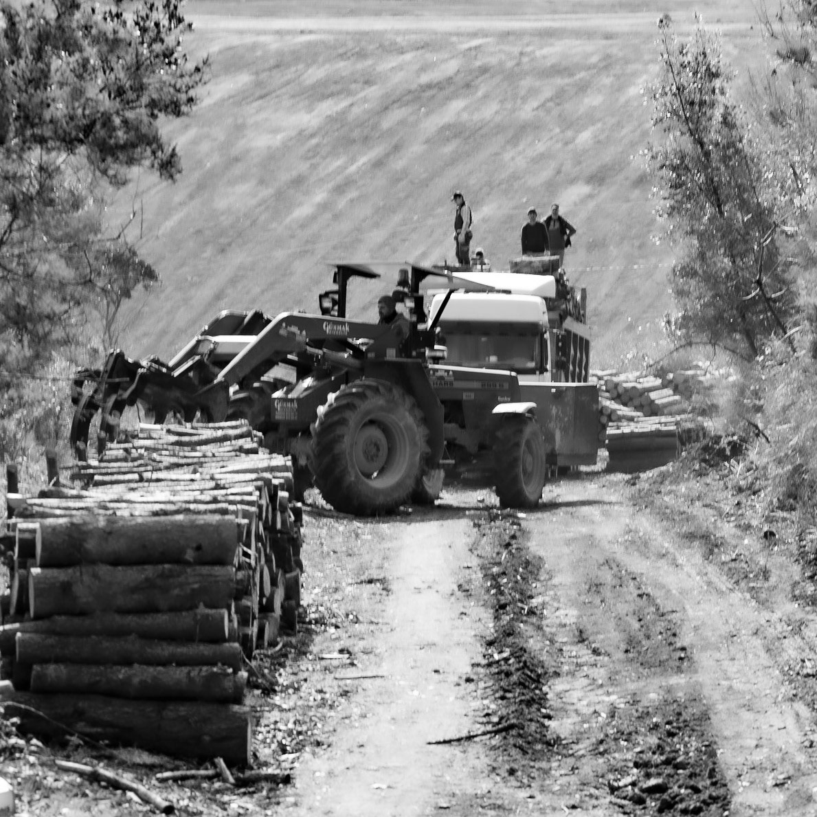 KYK wood: loading logs