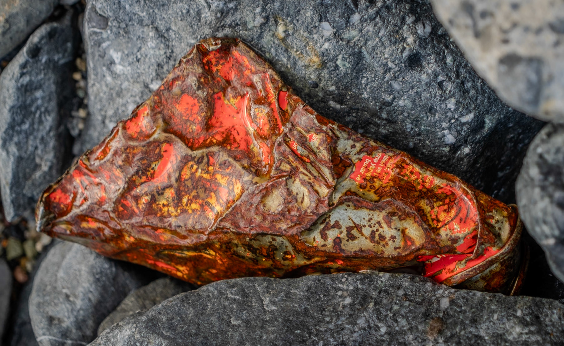 Black Sea coast east of Yeniköy: old can turned into jewlery