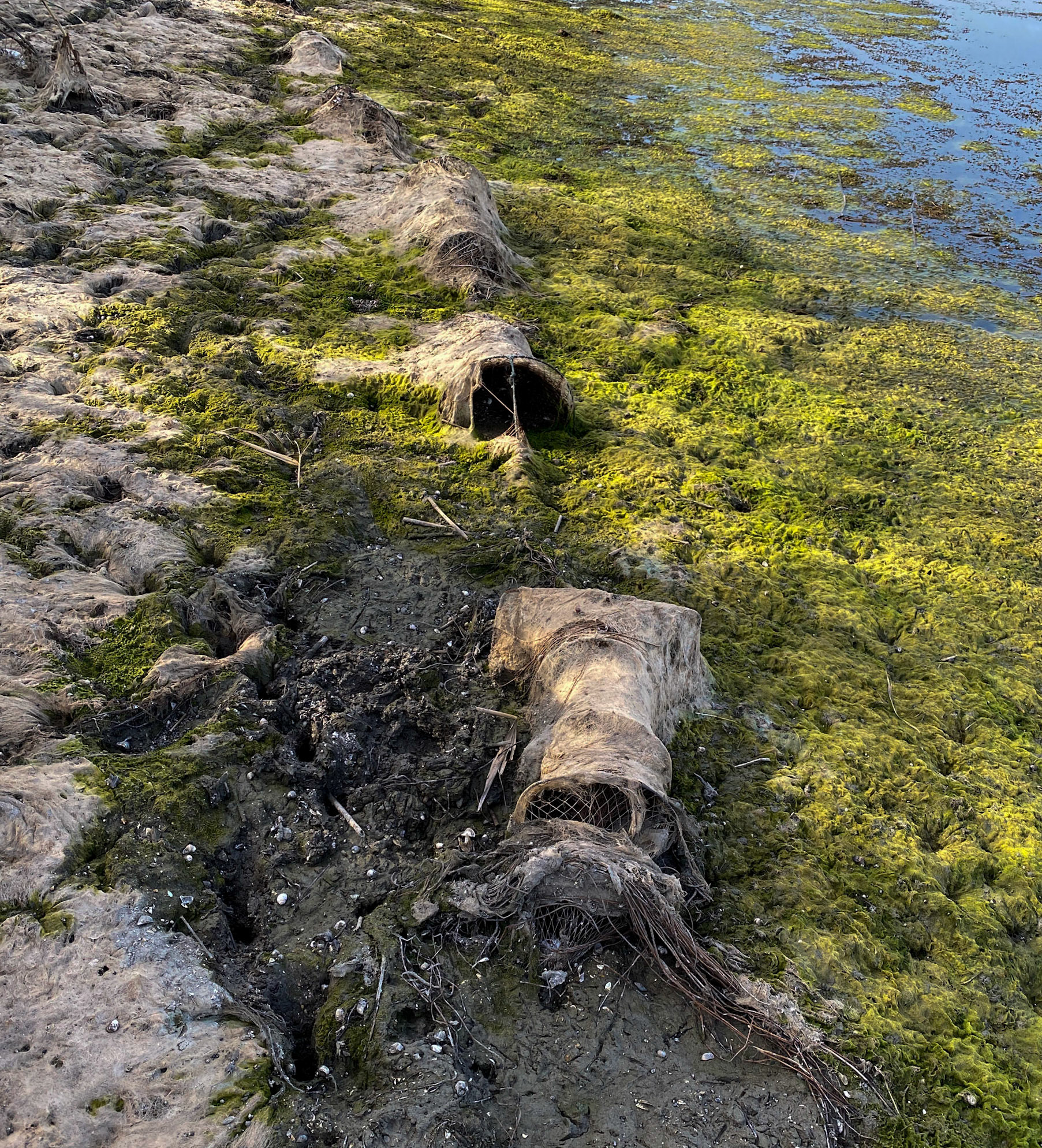 Trikos mudflats: fishing tackle