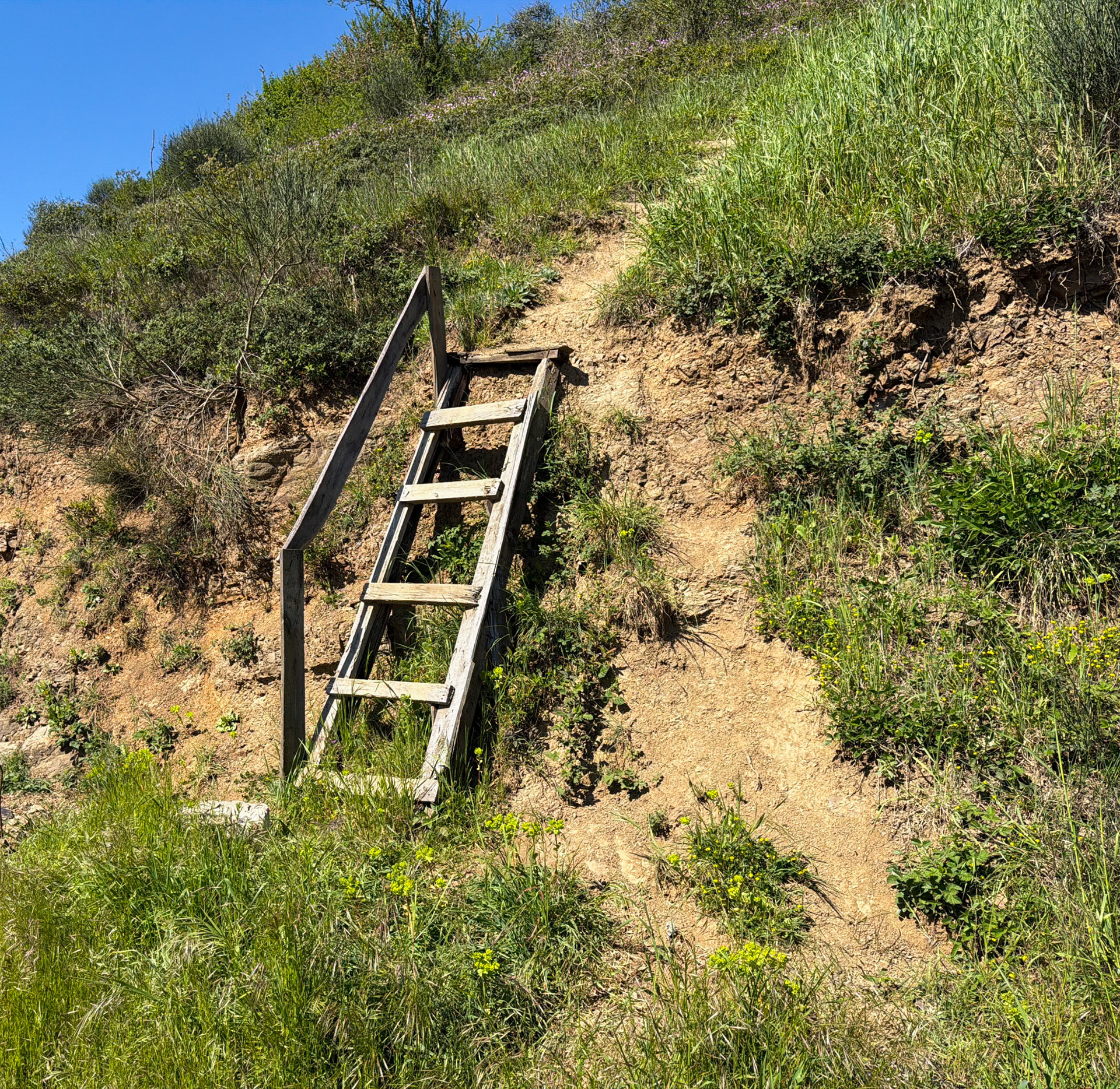 İshaklı: ladder leading into a meadow