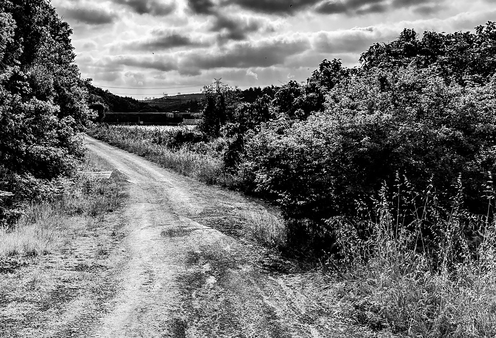 Elmalı 2 reservoir: track and dam