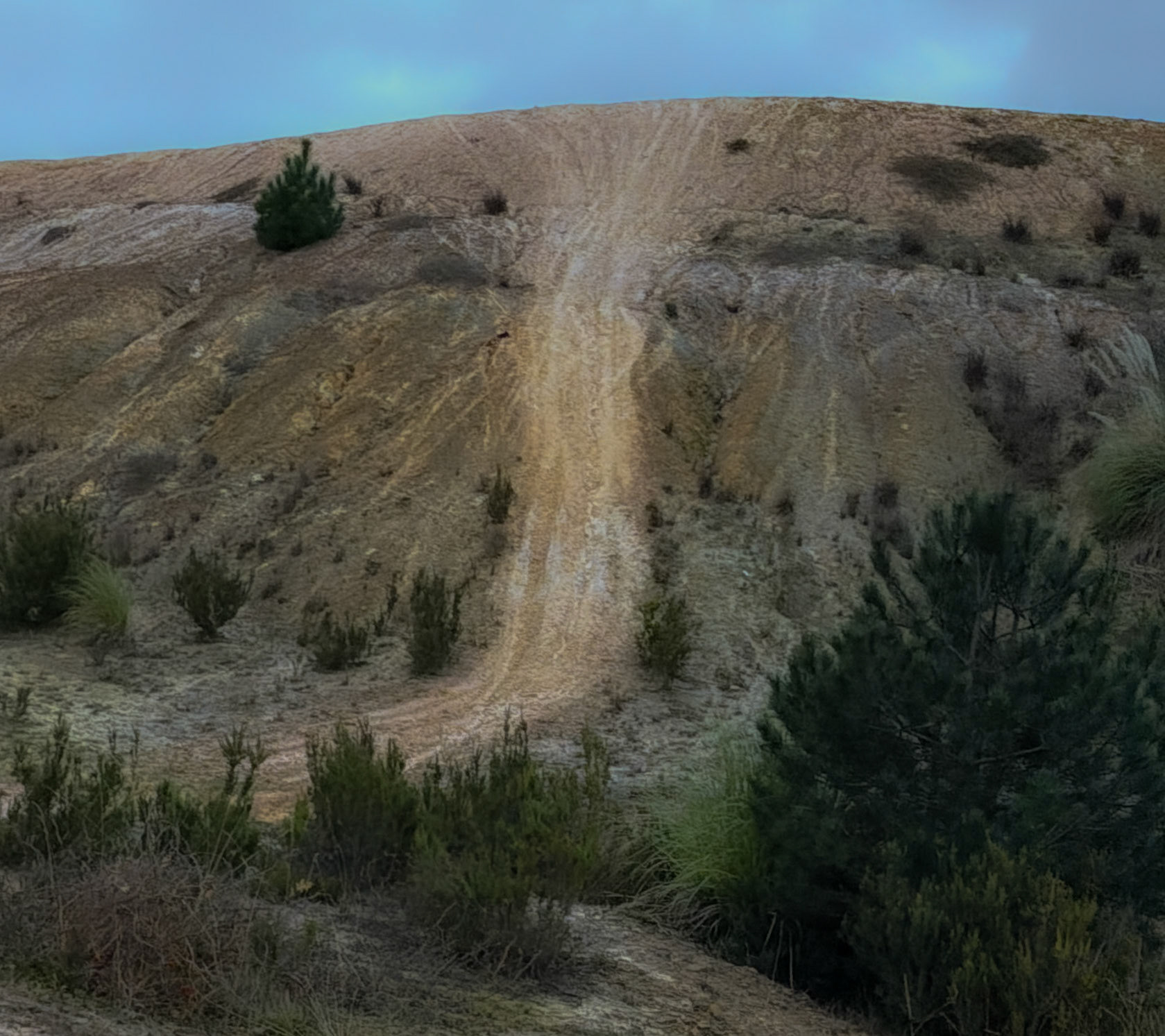 Sırıpınar northwest hill: bleak hillside