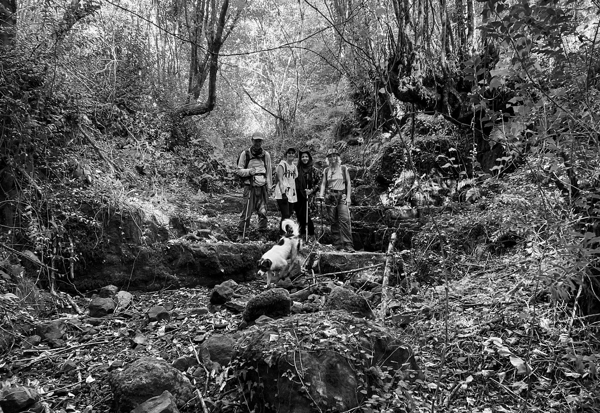 Ayhan Şahenk ledged streambed: today's hikers pose on a rocky step with our daydog